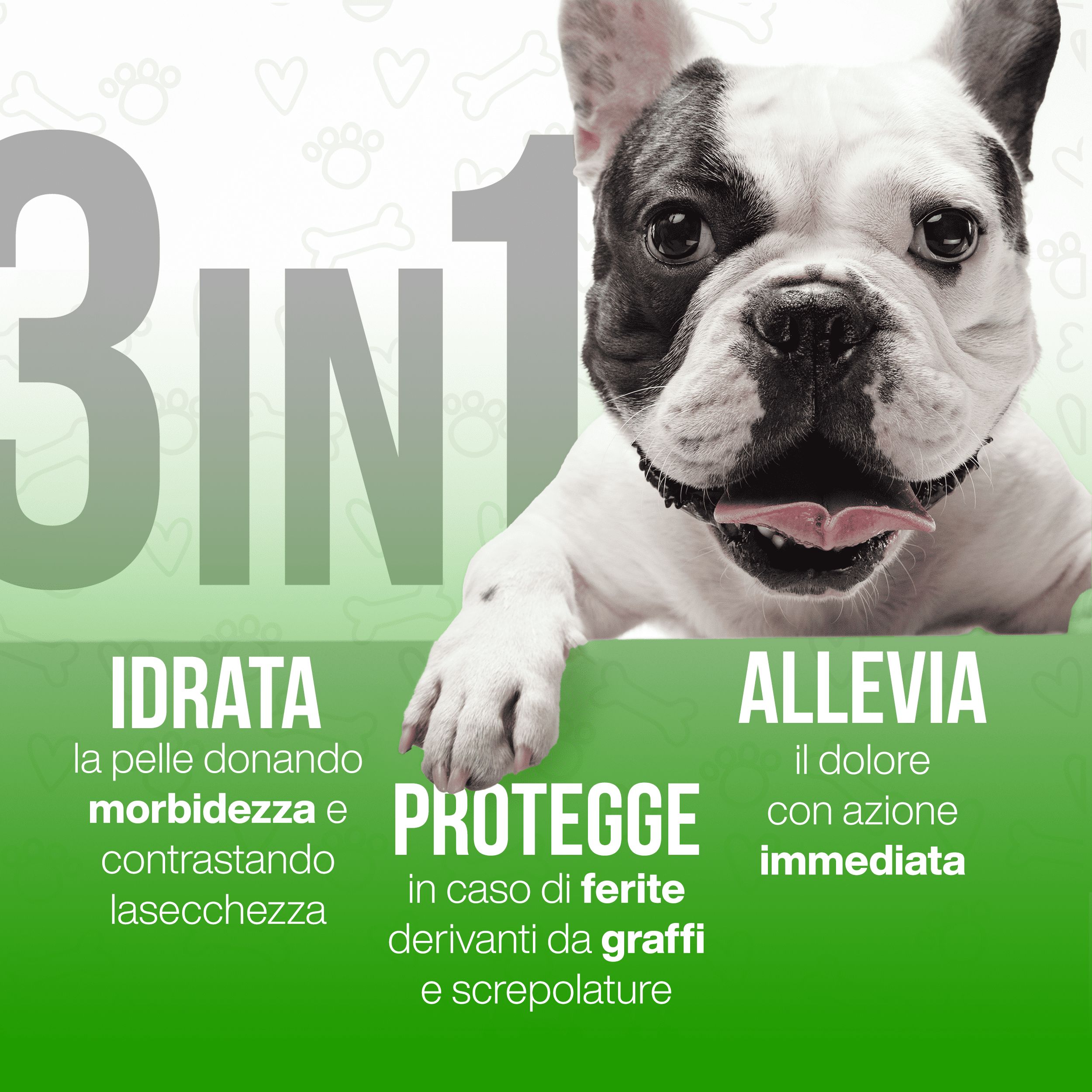 LA.GA Petbalm – Baume Protecteur pour Coussinets et Truffe – Chiens et Chats