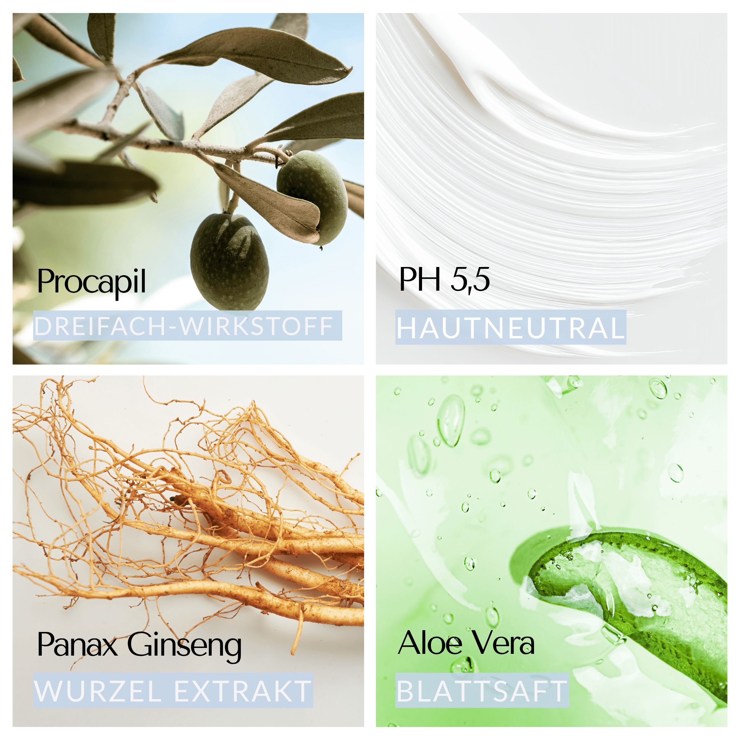 Ingrediënten: Procapil, pH 5,5, Panax Ginseng wortelextract, Aloe Vera bladsap. Vier afbeeldingen.