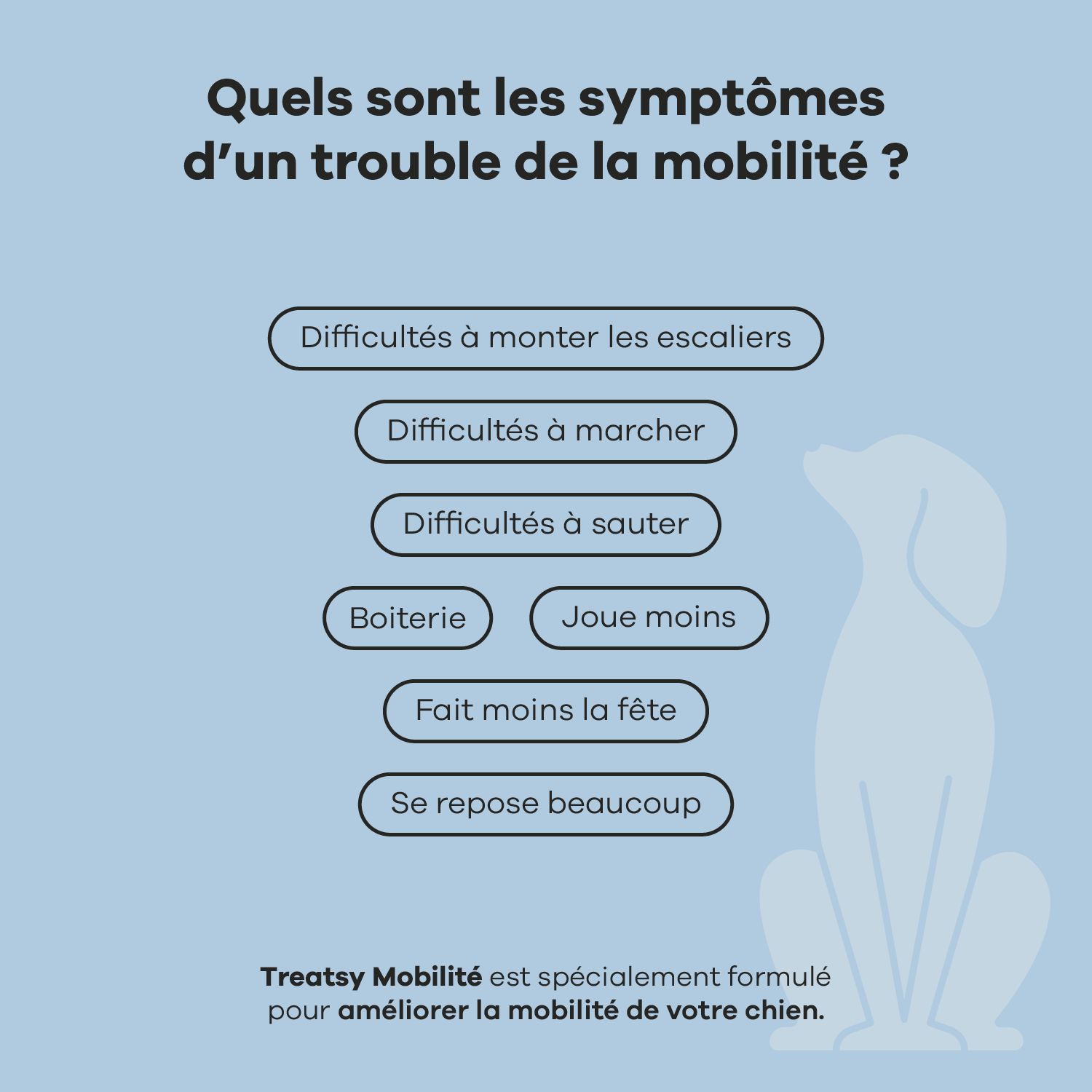 Deux chiens regardent la caméra. Texte : 96% des chiens adorent Treatsy !