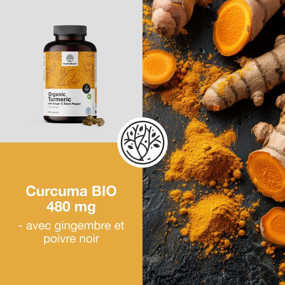 BIO Curcuma 480 mg avec gingembre et poivre noir. Poudre et racines de curcuma. Logo HealthyWorld.