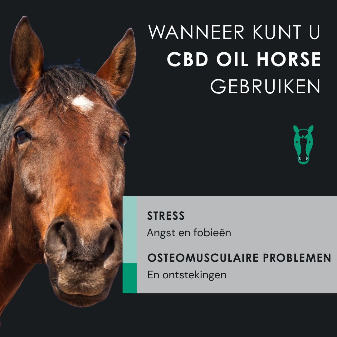 Paardenkop met tekst. CBD Oil Horse. Stress, angst, osteo-musculaire problemen.