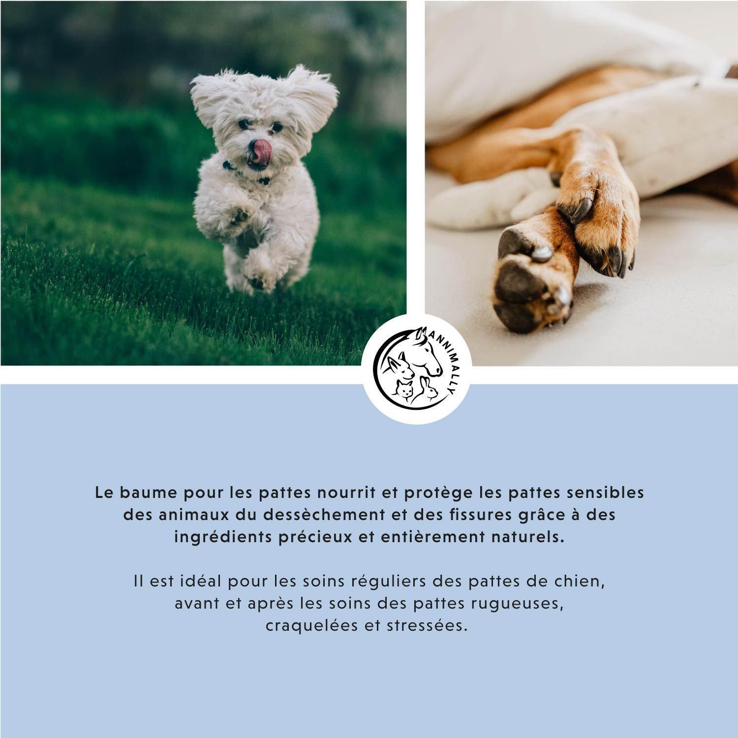 Photo avec chien. Texte sur le soin des pattes. Logo : Annimally. Texte : Baume PATTES.