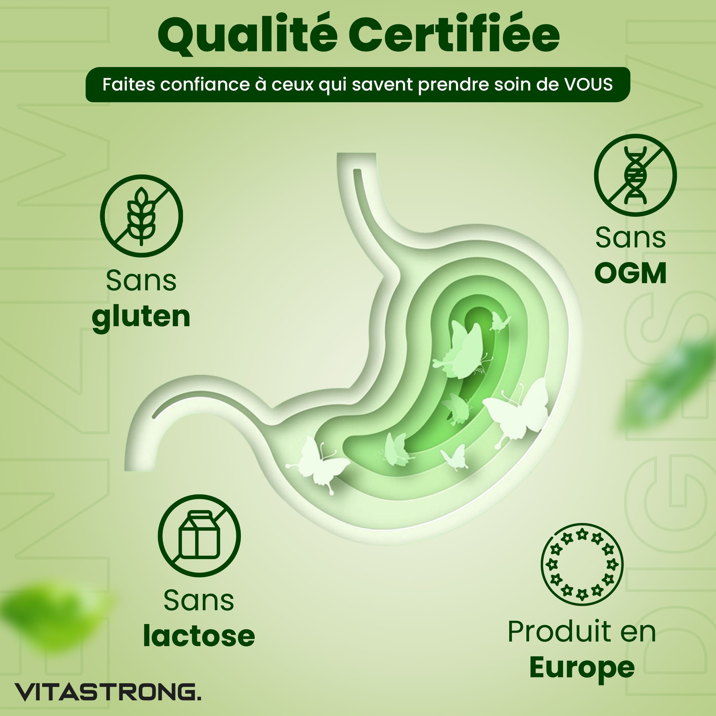 Illustration d'un estomac. Texte : Sans gluten, Sans OGM, Sans lactose, Fabriqué en Europe.