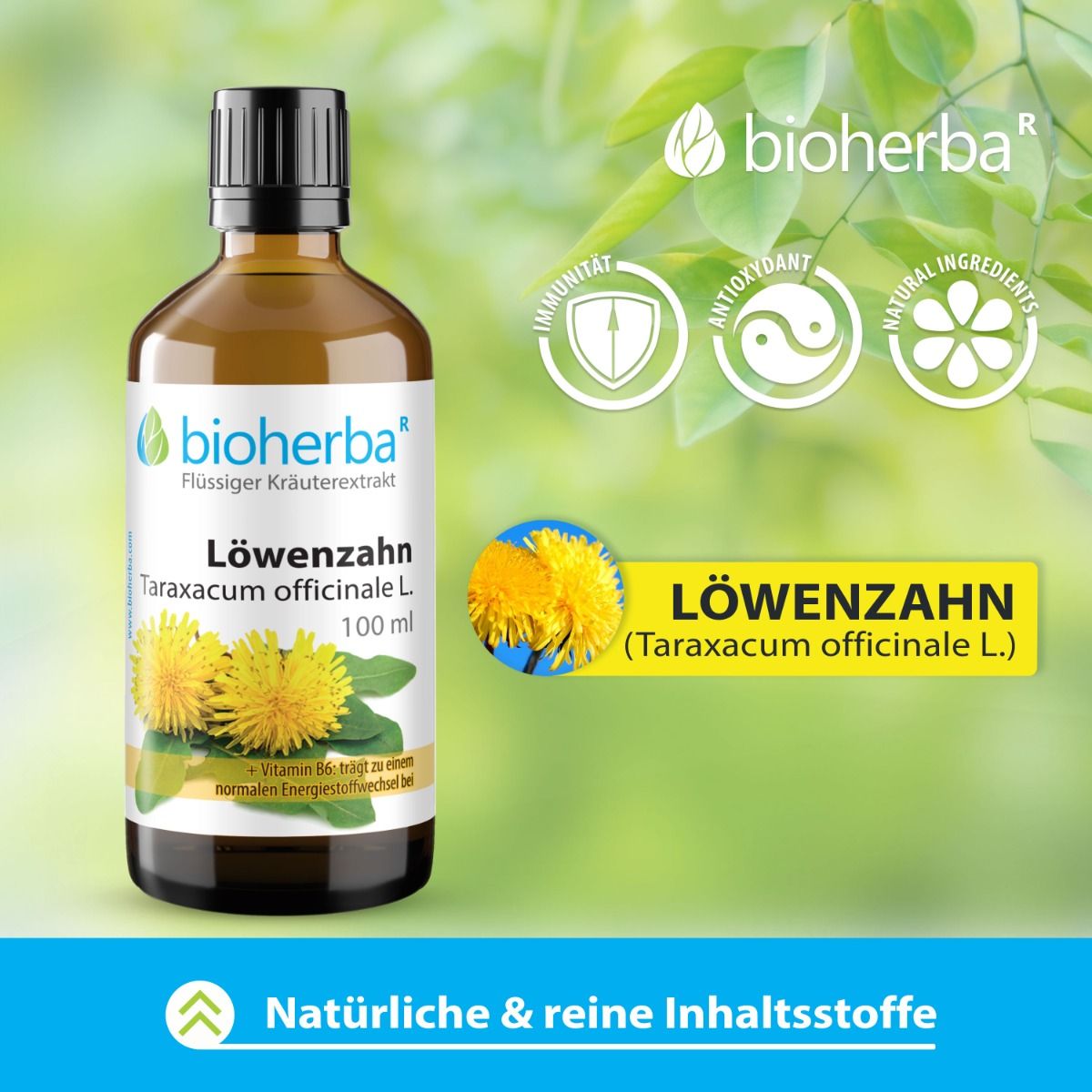 Bioherba Löwenzahn, Taraxacum officinale L. Gouttes. 100 ml. Avec symboles d'immunité, antioxydants et ingrédients naturels.