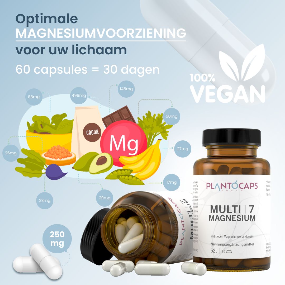 Fles en capsules met illustraties van voedingsmiddelen en tekst over magnesium.