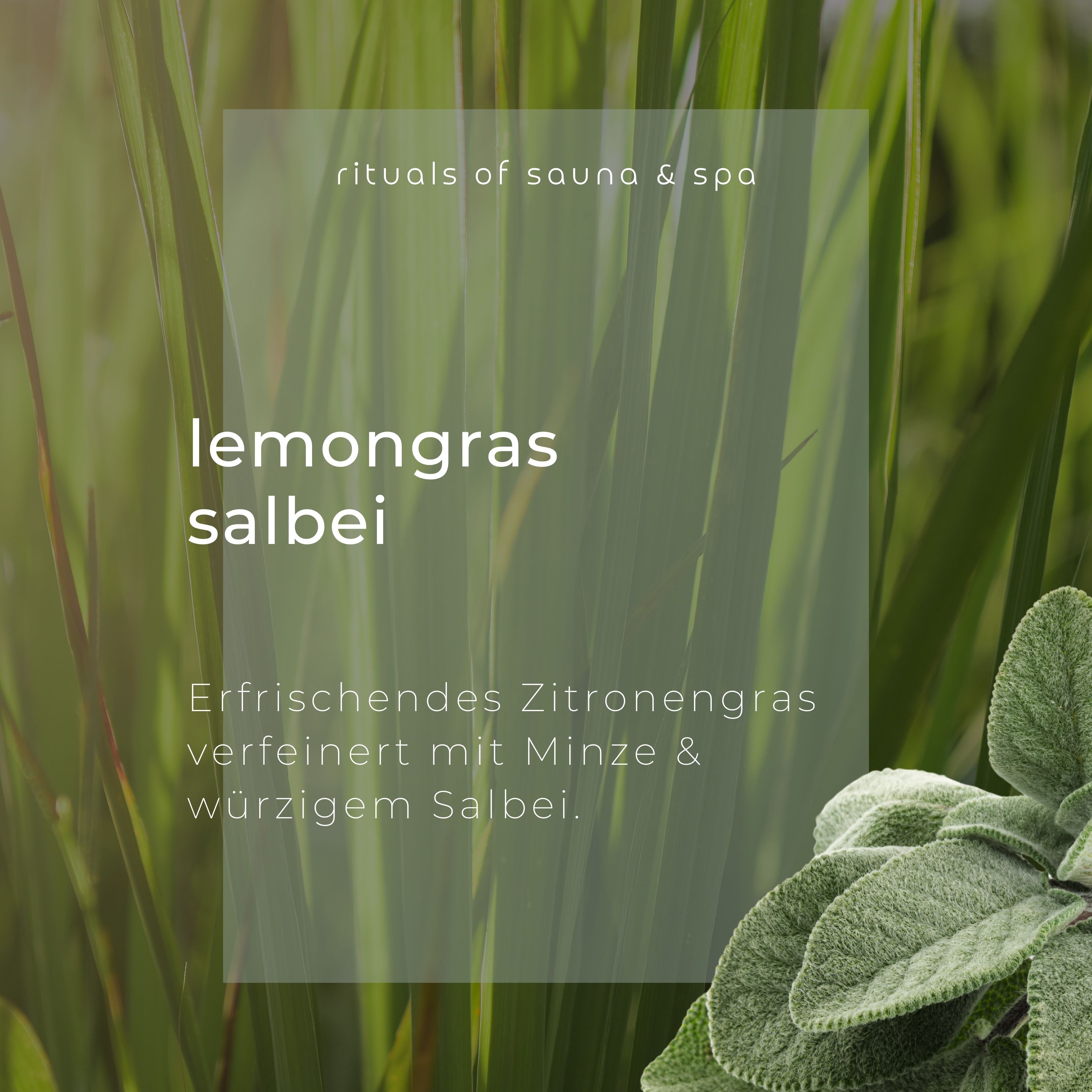 Tekst op groene achtergrond: Lemongras Salbei. Verfrissende citroengras verfijnd met munt & kruidige salie.