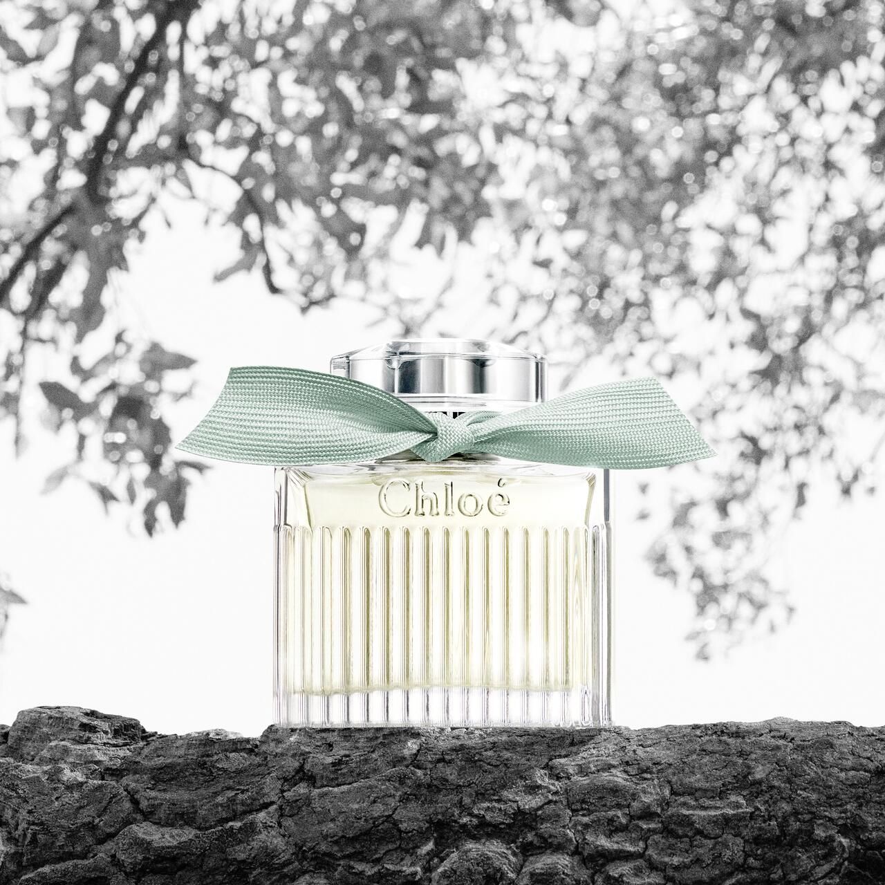 Chloe Naturelle Eau De Parfum Spray