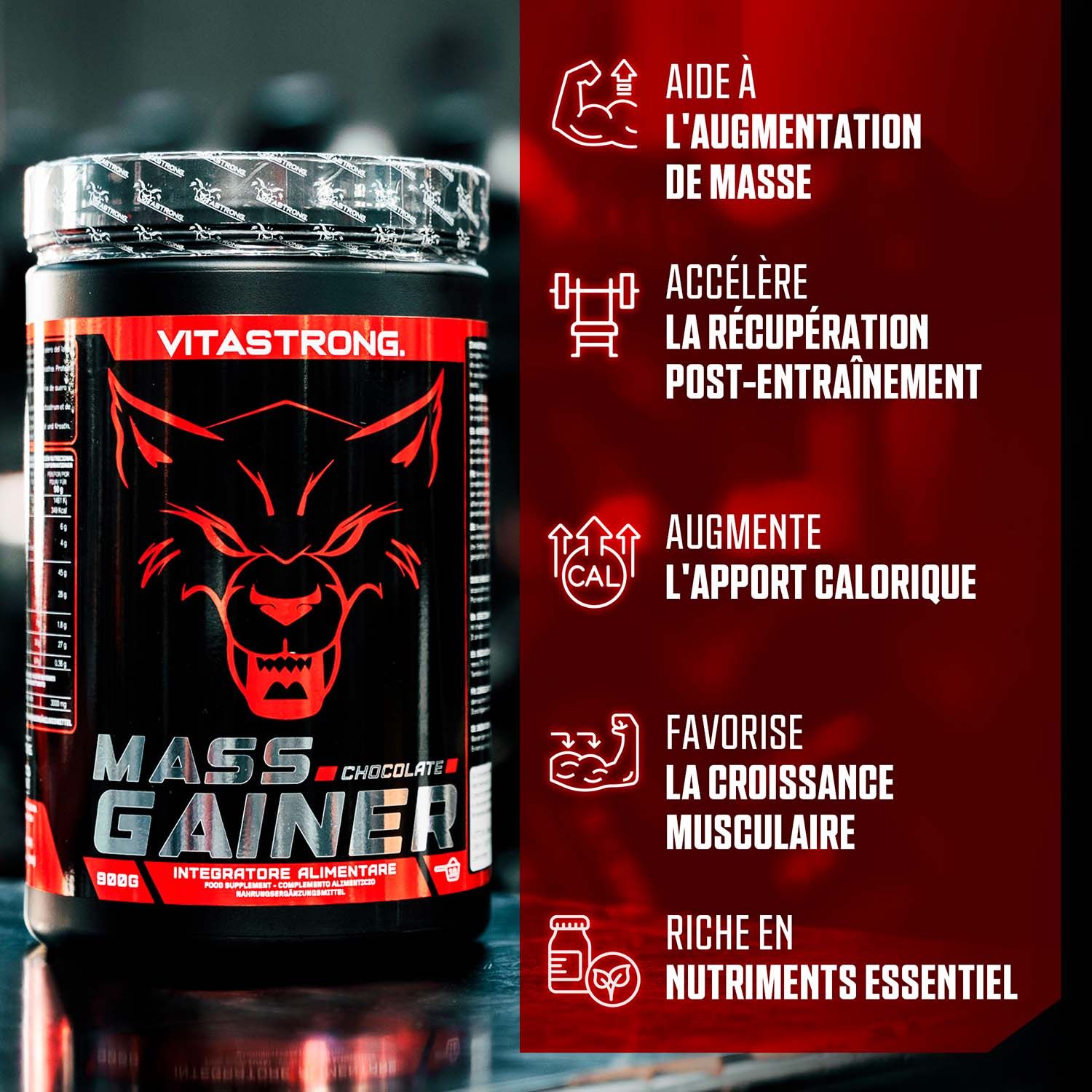 Vitastrong Mass Gainer