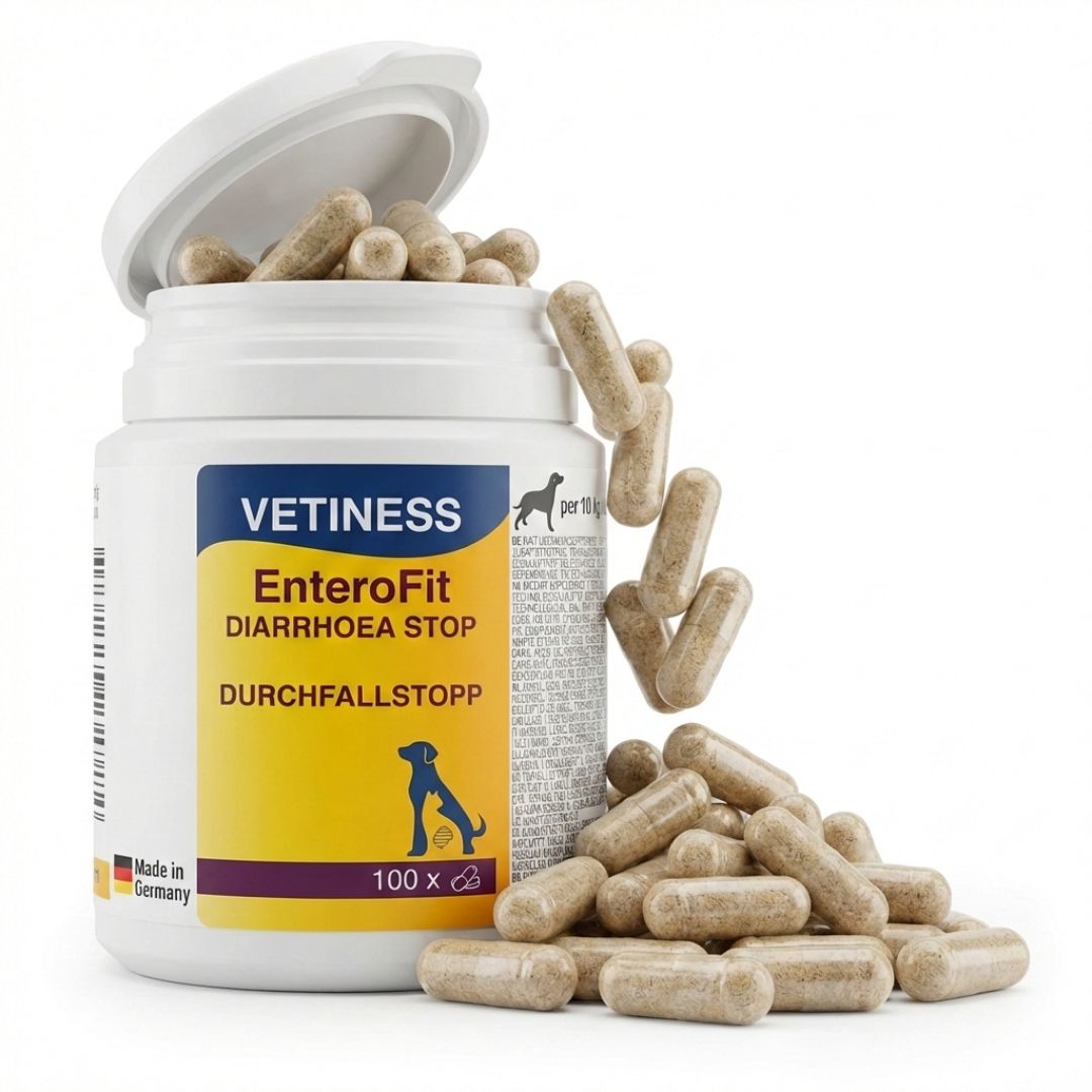 Witte pot met capsules. Tekst: Vetiness EnteroFit Durchfallstopp. Capsules vallen uit de pot. 100 capsules.