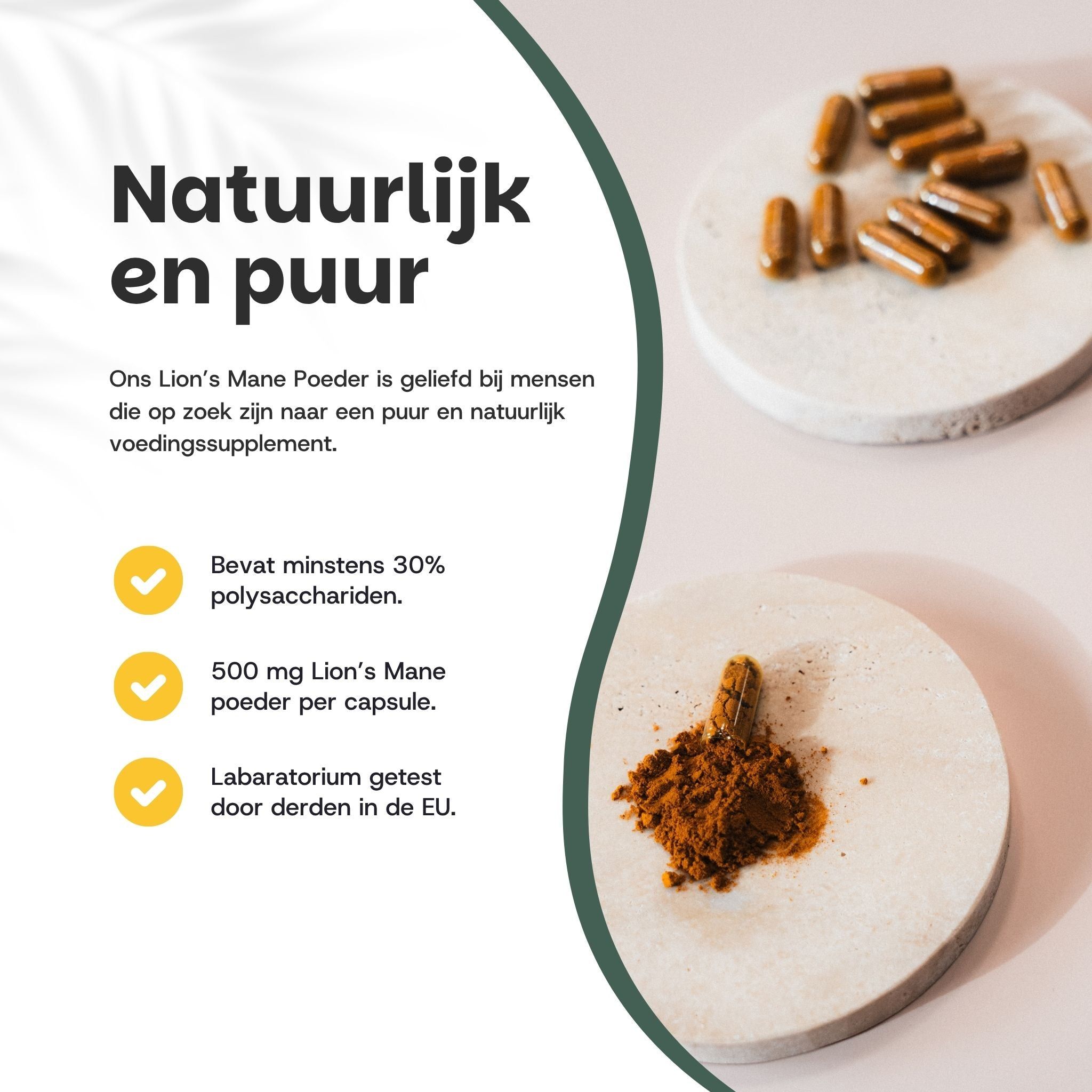 Capsules en poeder op ronde onderzetters. Tekst: Bevat minstens 30% polysachariden. 500 mg per capsule.