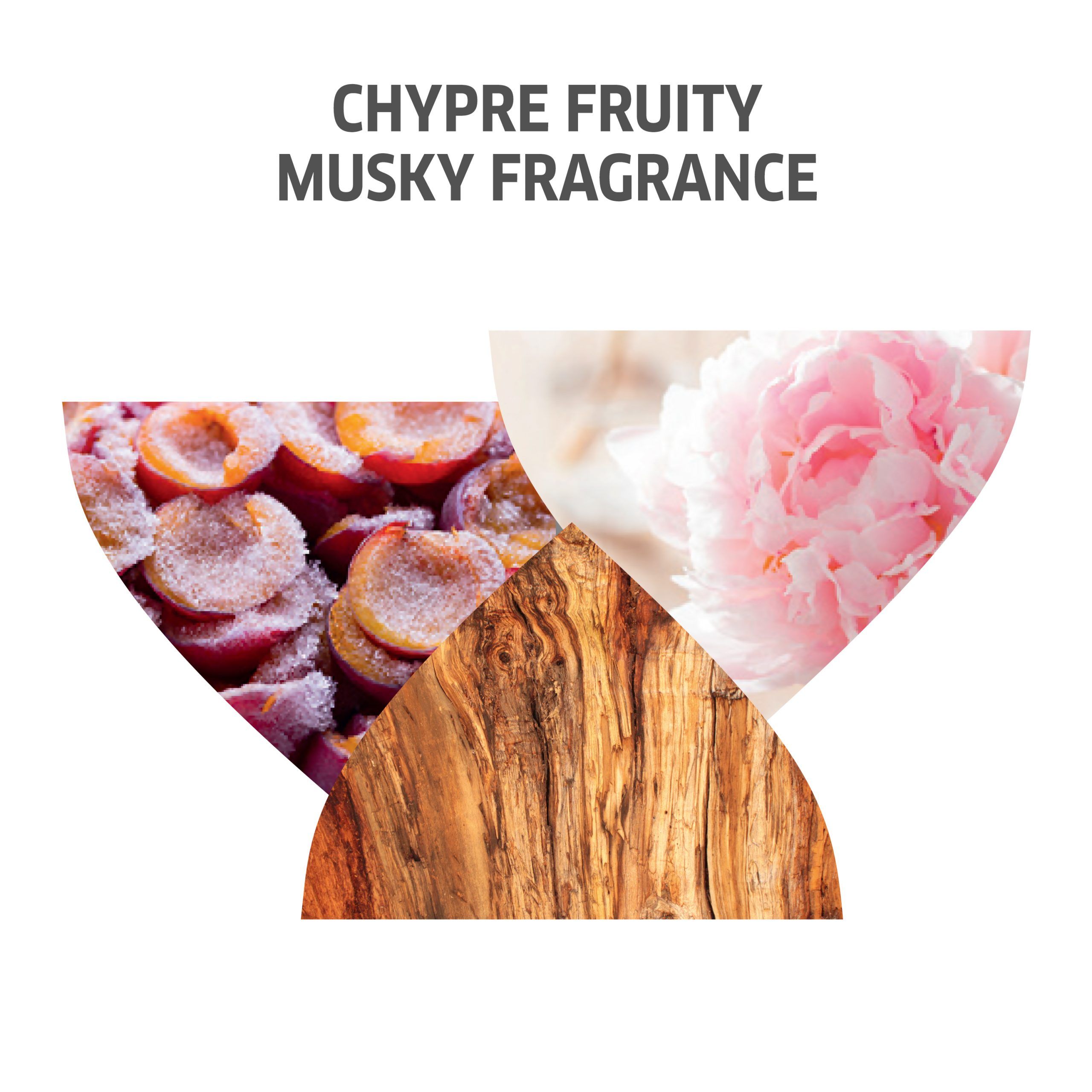 Trois images d'ingrédients. Texte : Chypre fruité, musqué. Montré : abricots, bois et une fleur rose.