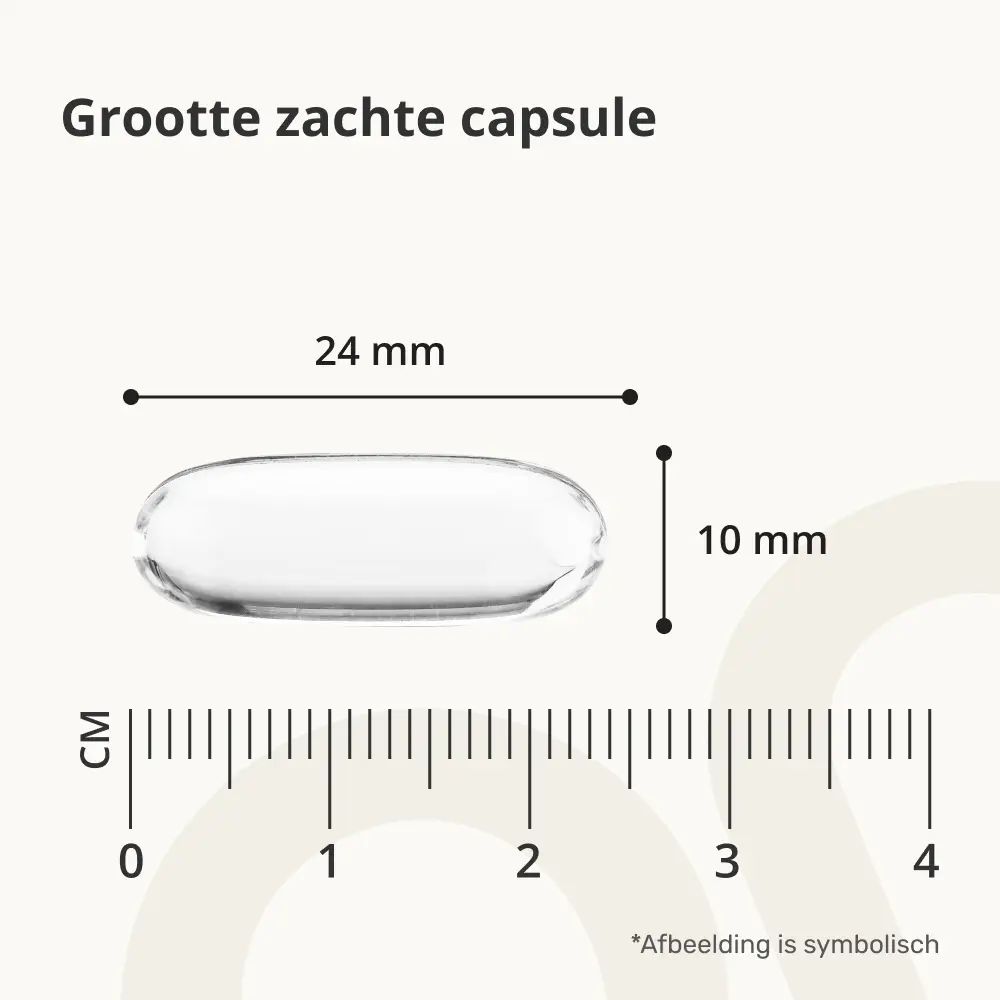 Softgel met afmetingen: 24 mm x 10 mm. Schaal in cm.