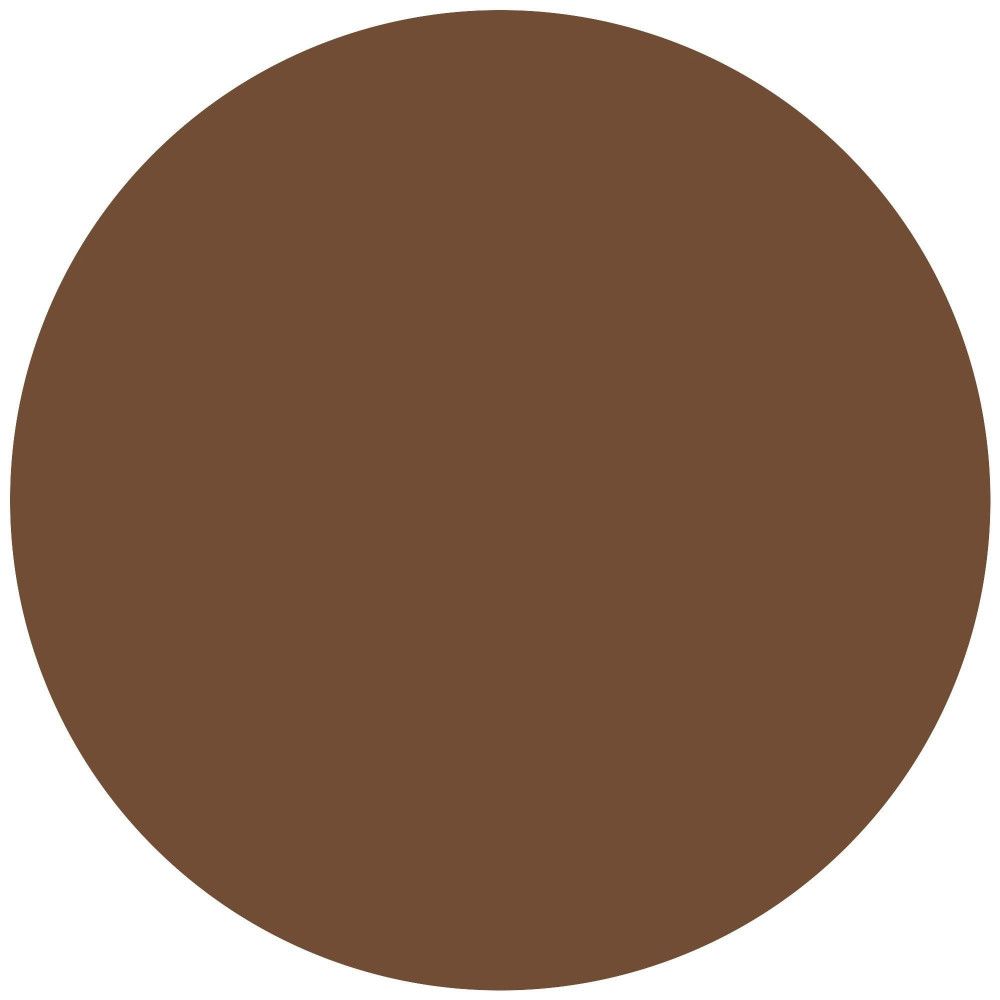 Cercle de couleur marron. Représentation unie et ronde en marron.