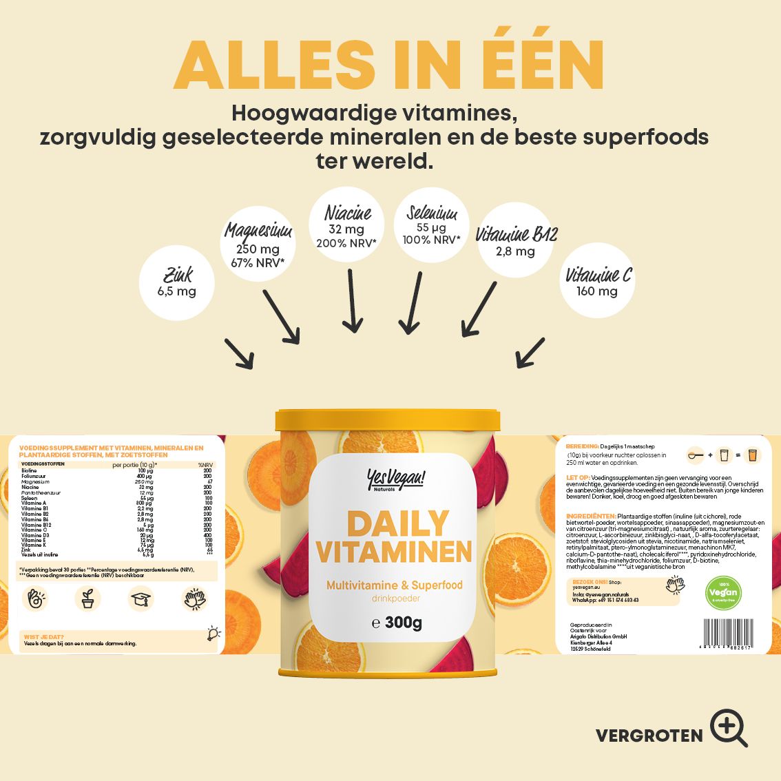 Infographic met vitaminen en mineralen. Pot vitaminepoeder met opschrift Daily Vitamin.