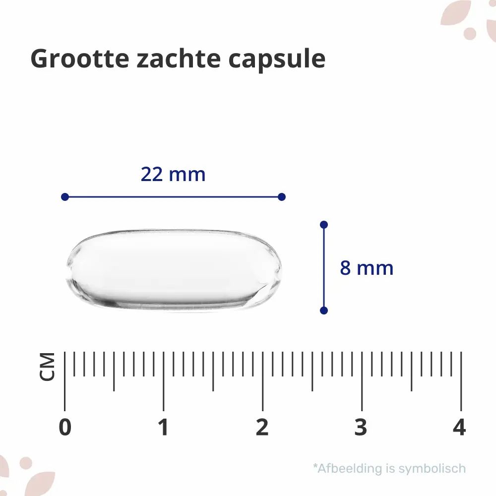 Capsule, transparant, 22 mm lang, 8 mm breed. Afmetingen in cm. Symbolische afbeelding.