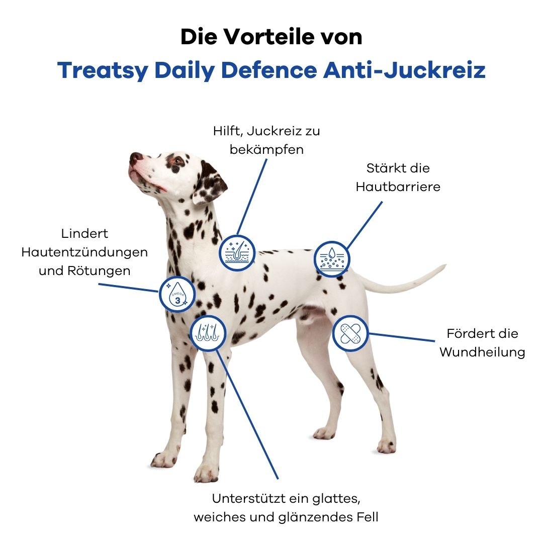 Chien dalmatien avec infographie. Avantages de Treatsy Daily Defence: peau, pelage, inflammation, cicatrisation.