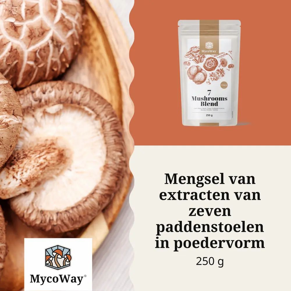 Productverpakking en gedroogde paddenstoelen in een kom. Tekst: Mengsel van extracten van zeven paddenstoelen in poedervorm.