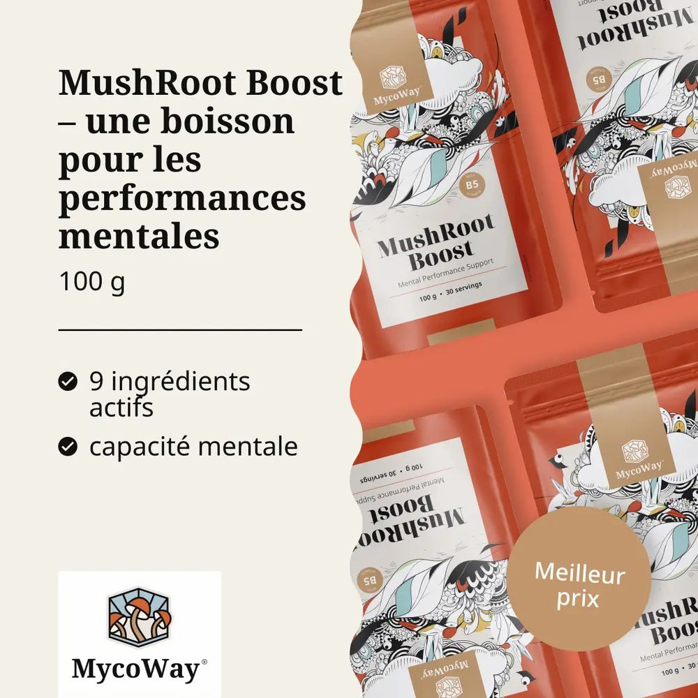 Sachet MycoWay MushRoot Boost. Texte : Boisson pour performances mentales. 100 g. 9 ingrédients.