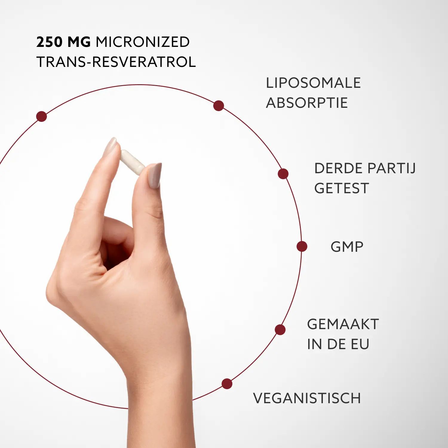 Hand met capsule. Tekst: 250 mg micronized trans-resveratrol, liposomale absorptie, veganistisch.