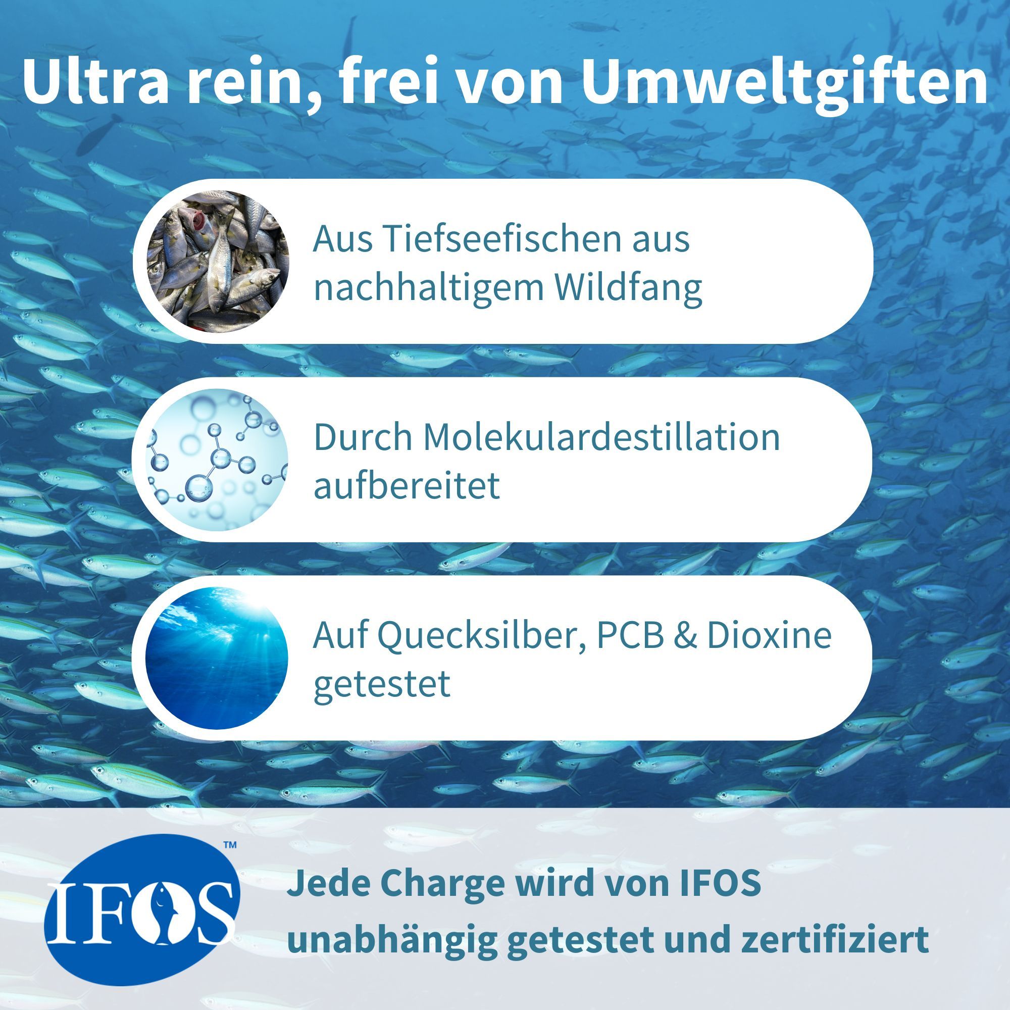 Oméga-3 ultra-pur: issu de pêche sauvage, distillation moléculaire, testé sans polluants. Certifié IFOS.