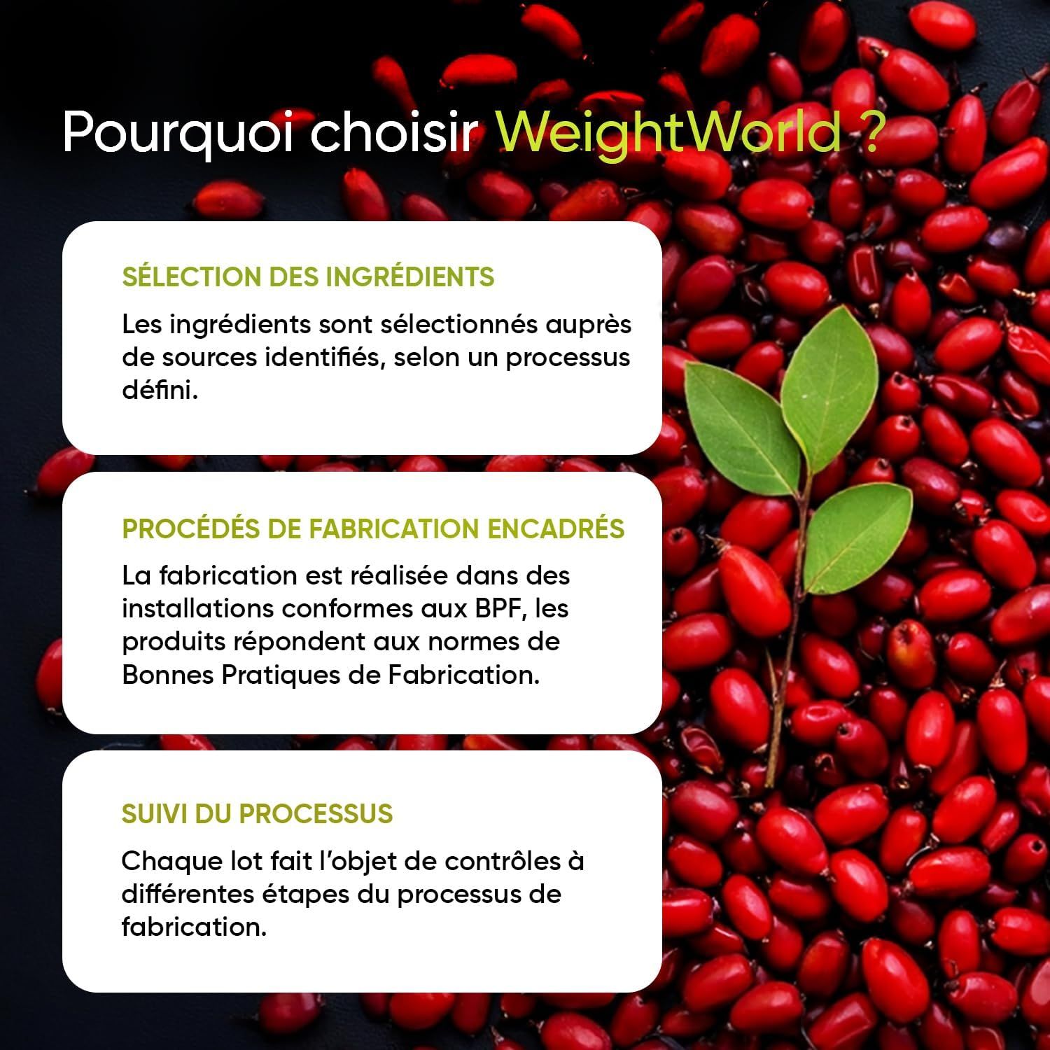 Texte sur la sélection des ingrédients, les processus de fabrication et le suivi du processus. Fond de baies rouges.