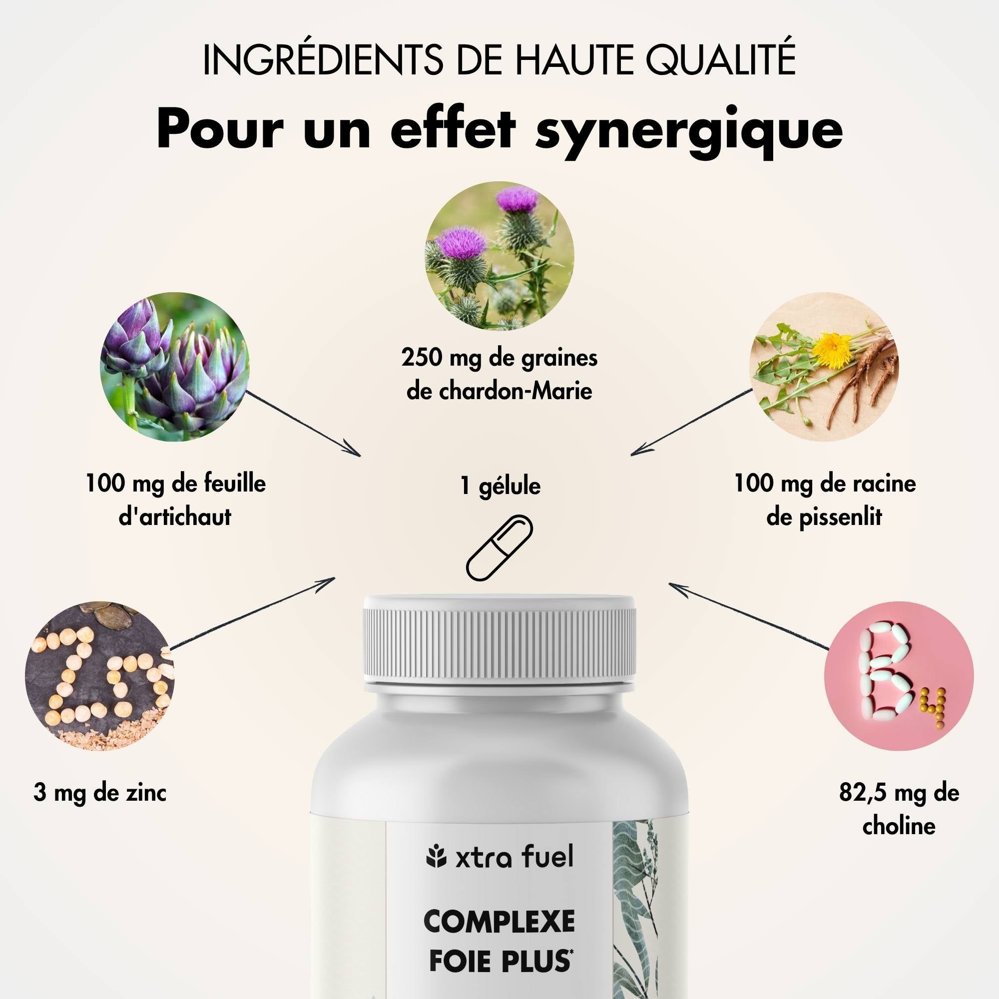 Comparaison: Avantages XTRA FUEL (coche verte) vs. Autres (croix rouge). Pour le foie et le métabolisme lipidique.