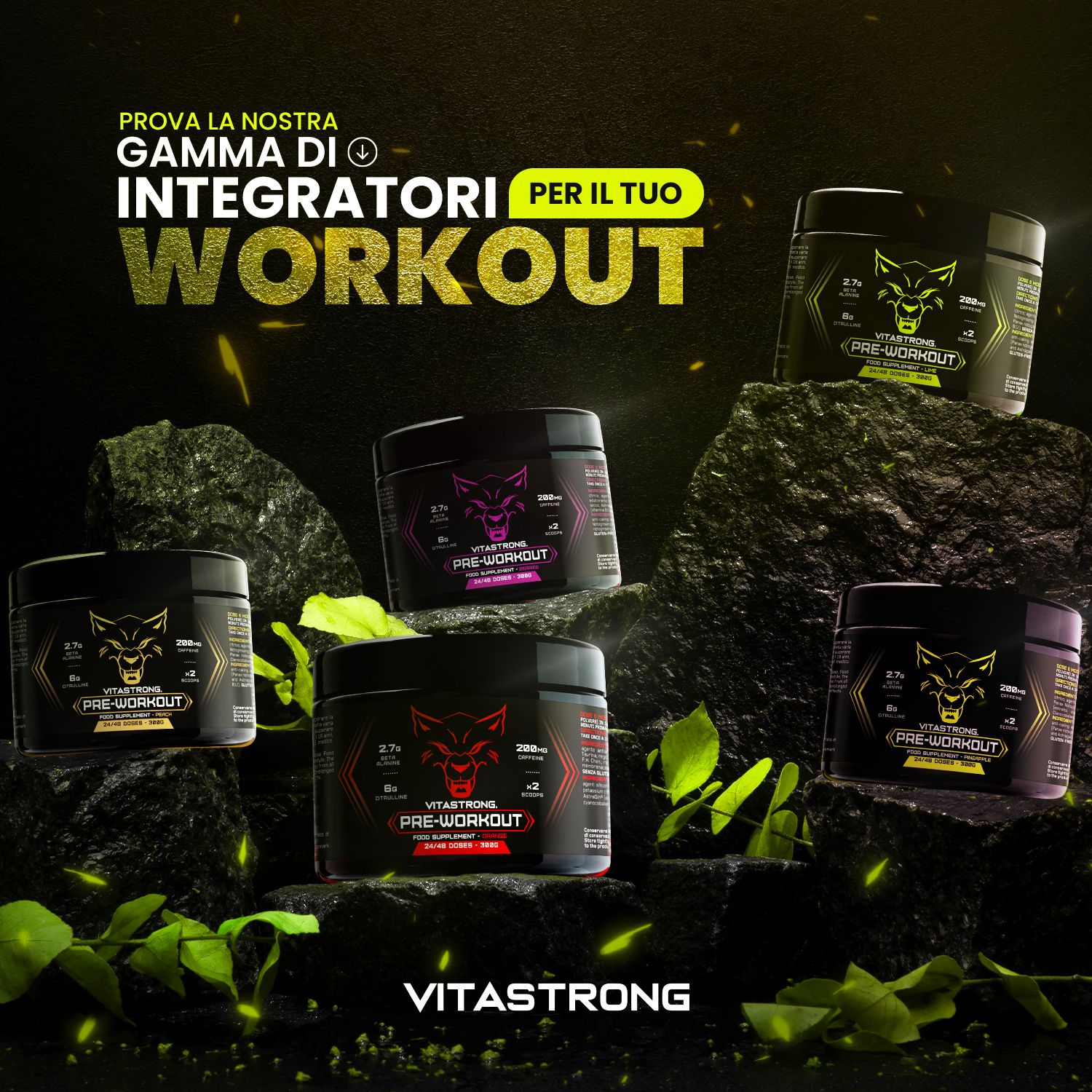 Plusieurs pots Vitastrong Pre-Workout sur des rochers. Pots noirs avec logo loup. Texte: WORKOUT, VITASTORNG.