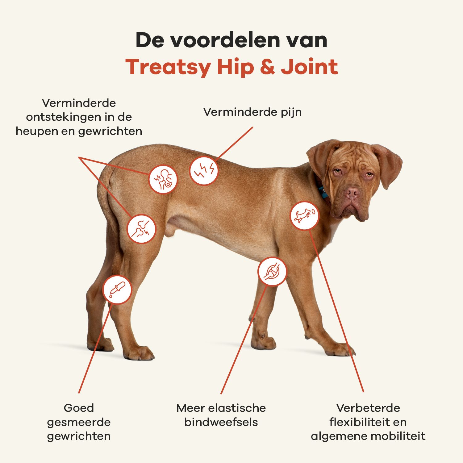 Grafiek met voordelen van Treatsy Hip & Joint. Minder pijn, betere flexibiliteit.