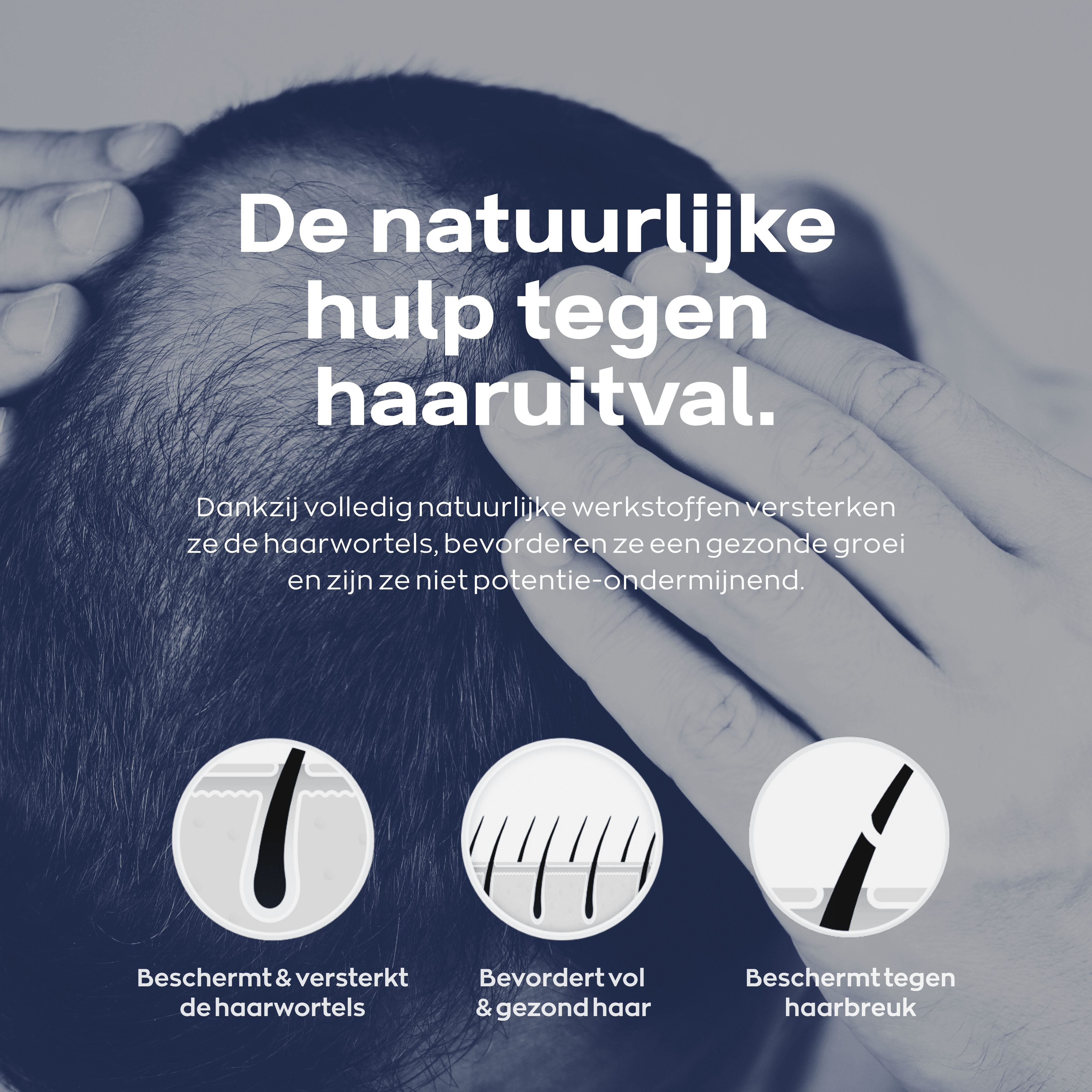 Afbeelding met drie symbolen: haarwortels beschermen, gezonde groei bevorderen, haarbreuk beschermen. Tekst: Natuurlijke hulp.