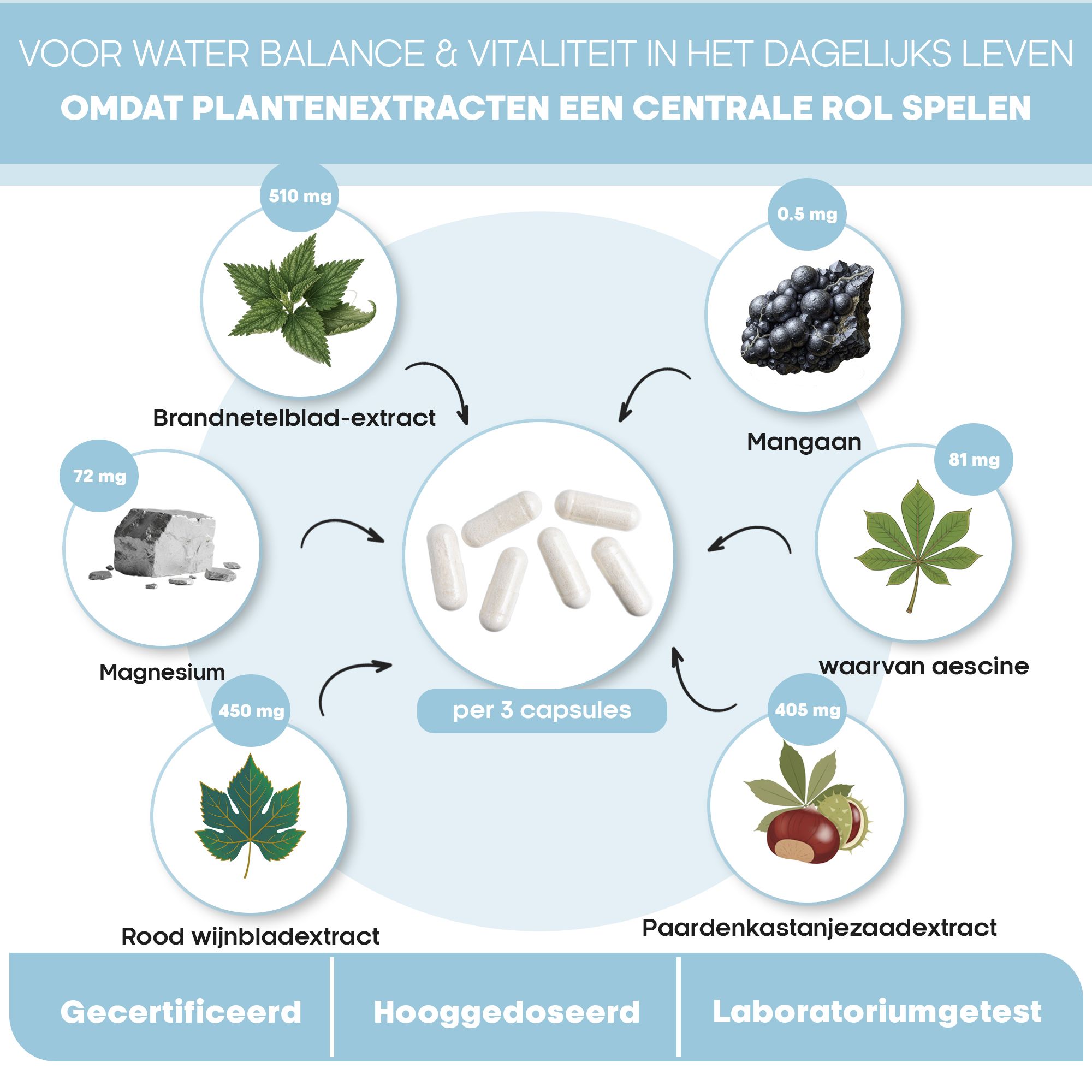 Schema van Aqua Balance ingrediënten: brandnetel, mangaan, paardenkastanje.