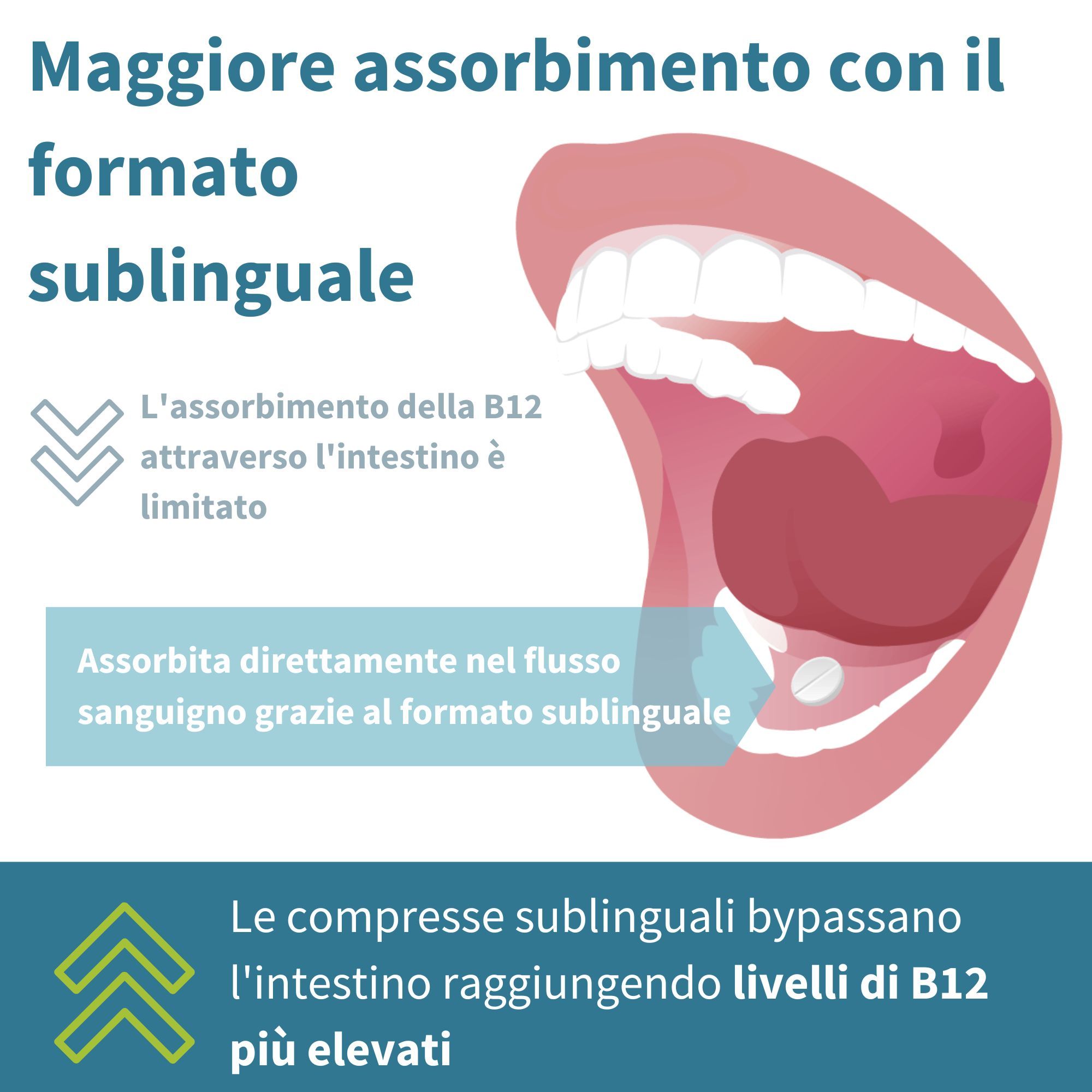 Bouche avec langue et comprimé. Texte : Les comprimés sublinguaux contournent l'intestin et atteignent des niveaux de B12 plus élevés.