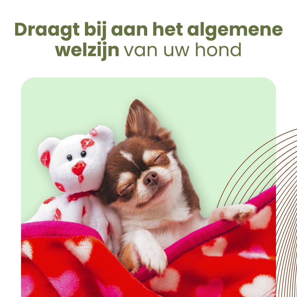 Vergelijkingstabel. EU4DOG-fles met druppelaar. 0% THC, volledig spectrum, 100% natuurlijk, alle maten.