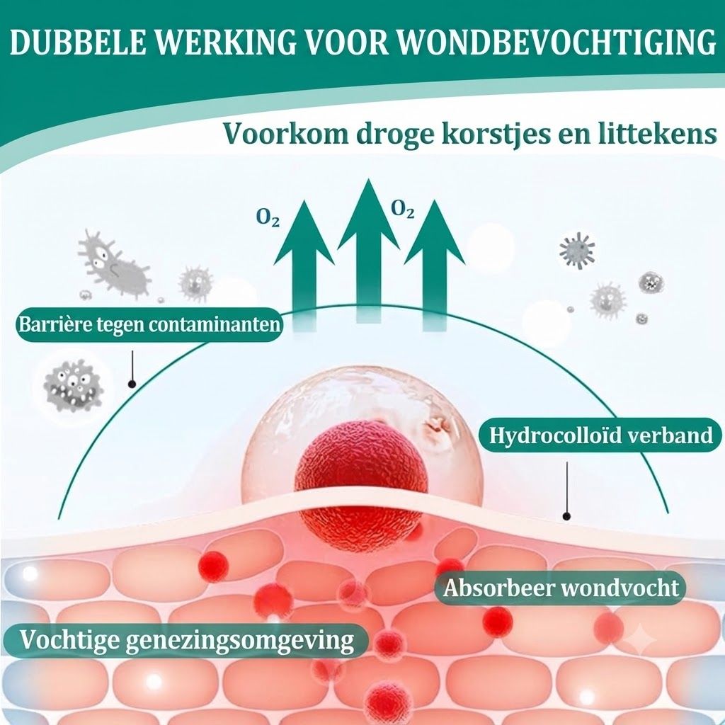 Schema wondgenezing: hydrocolloïd verband beschermt tegen contaminanten en absorbeert wondvocht voor vochtige genezing.