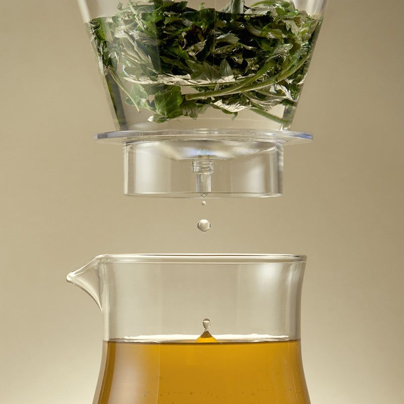 Récipient transparent avec herbes au-dessus d'un récipient avec liquide. Des gouttes d'eau tombent.