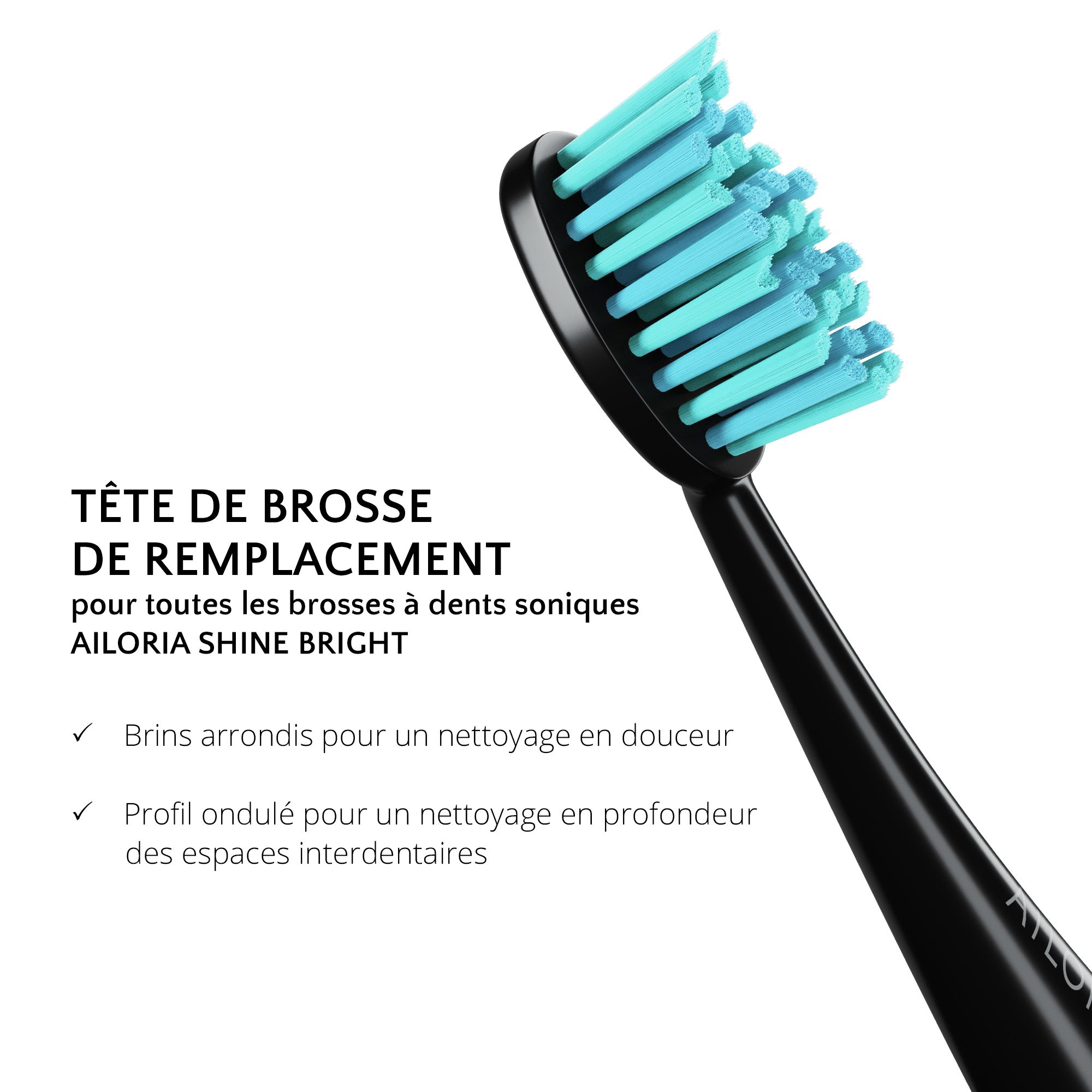 Gros plan d'une tête de brosse à dents noire avec soies turquoise. Texte: Tête de brosse de remplacement pour AILORIA SHINE BRIGHT.