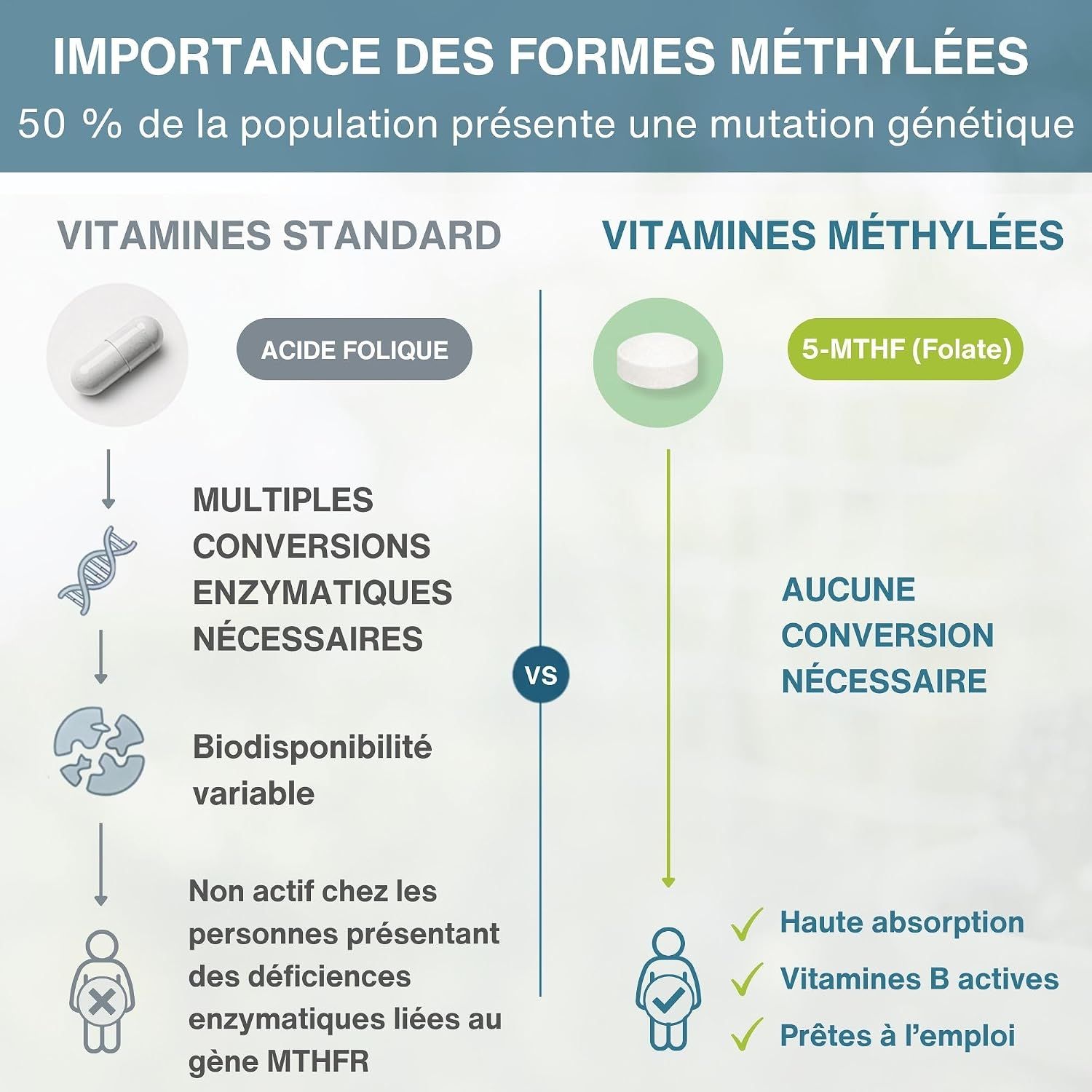 Comparaison : Vitamines standard vs. vitamines méthylées (L-Méthylfolate).