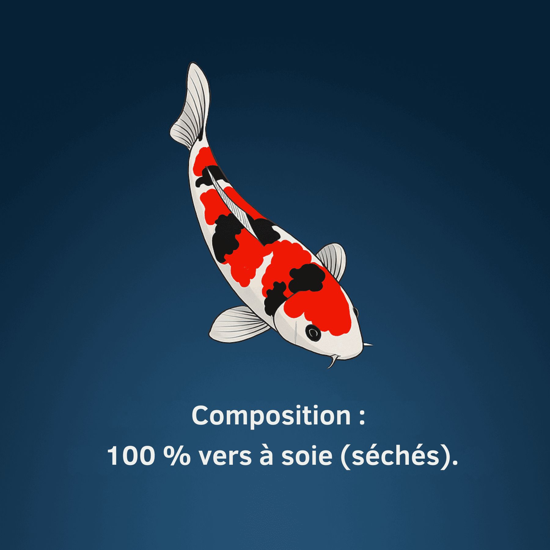 Illustration d'un poisson koï sur fond bleu. Texte : Composition : 100 % vers à soie (séchés).