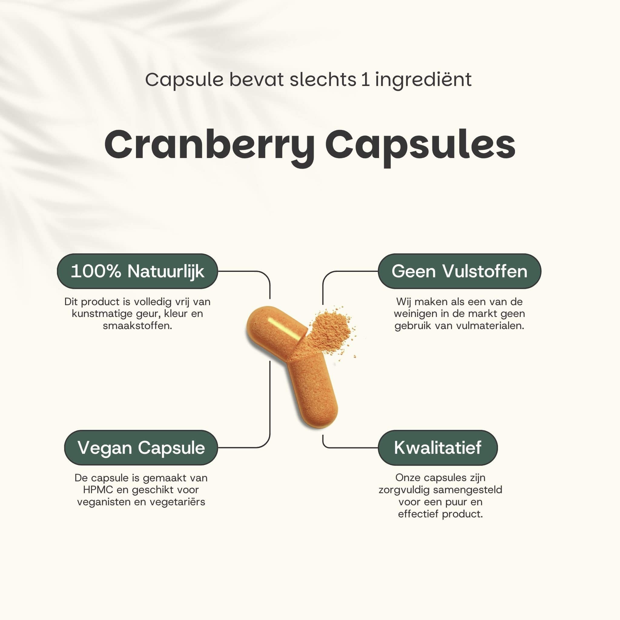 Capsule met cranberry poeder. Tekst: Cranberry Capsules. 100% natuurlijk. Geen vulstoffen. Vegan capsule. Kwalitatief.