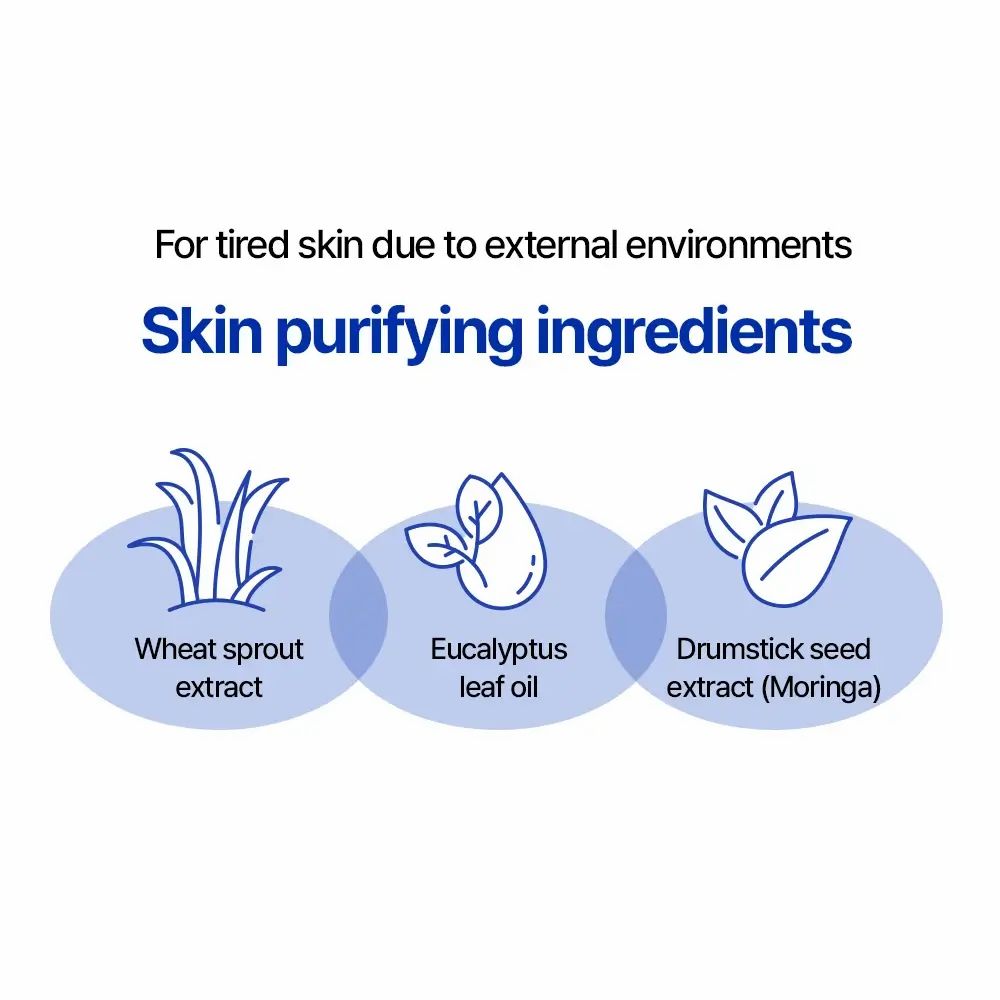 Afbeelding met drie ovale elementen. Toont tarwesproten, eucalyptusbladolie en moringazaadextract met tekst.