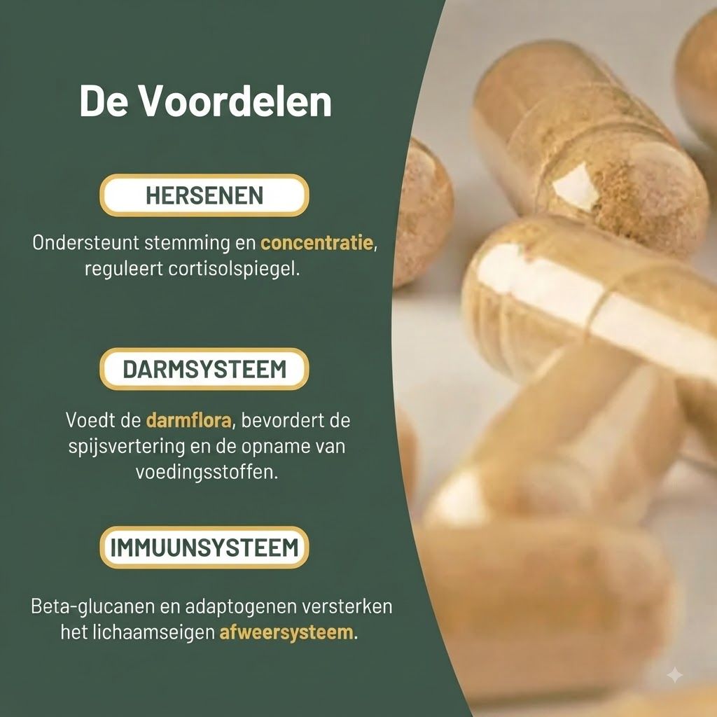 Meerdere doorschijnende capsules met beige inhoud liggen op een lichte achtergrond. Tekst links somt voordelen op voor hersenen, darmen en immuunsysteem.