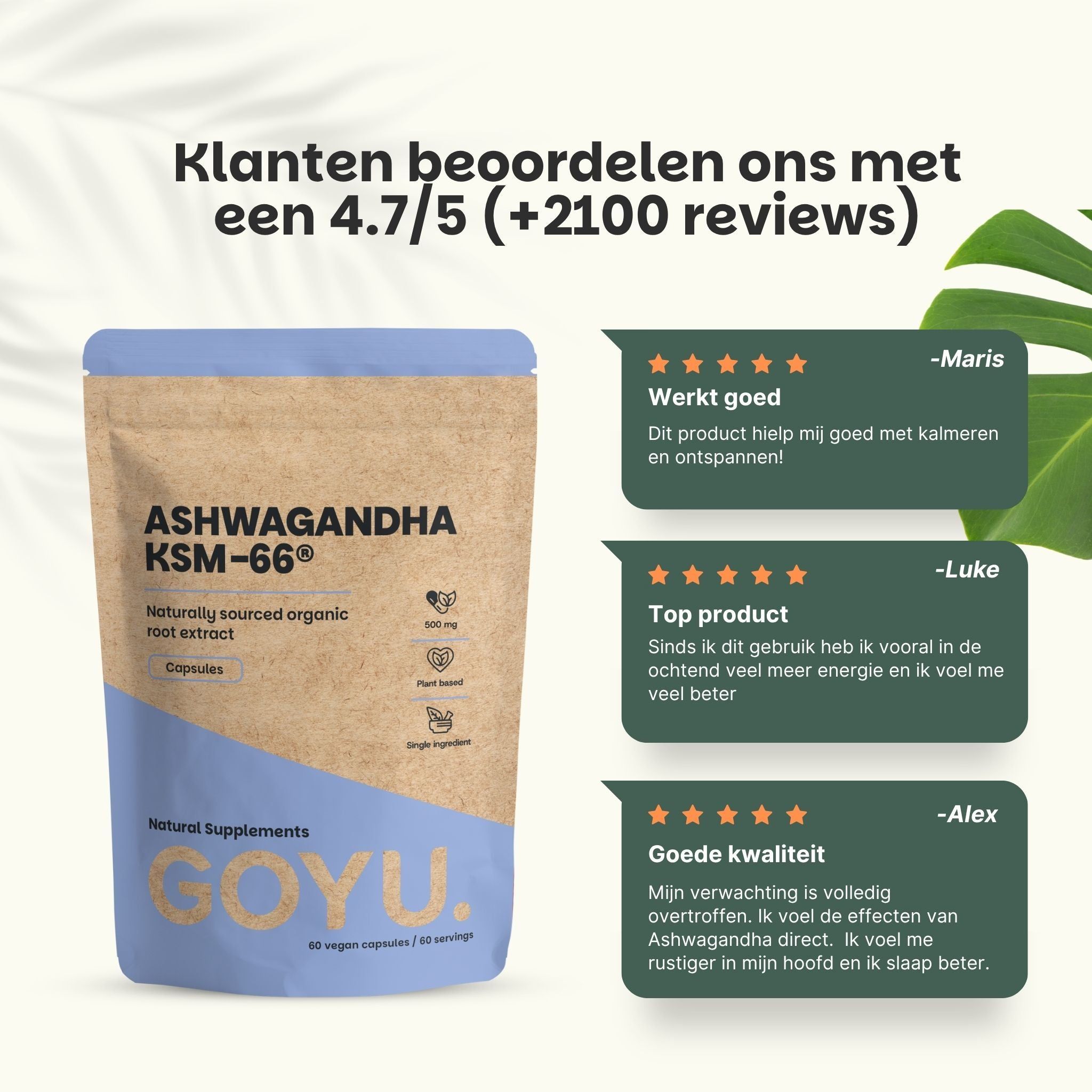 Bruine pouch met Ashwagandha KSM-66 capsules, 500 mg, biologisch extract, naast groene bladeren.