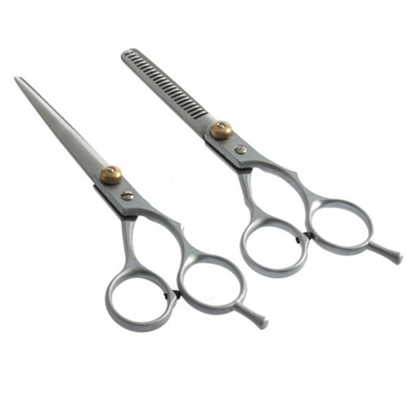Deux ciseaux de coiffure argentés, l'un lisse et l'autre dentelé, avec des rivets dorés.