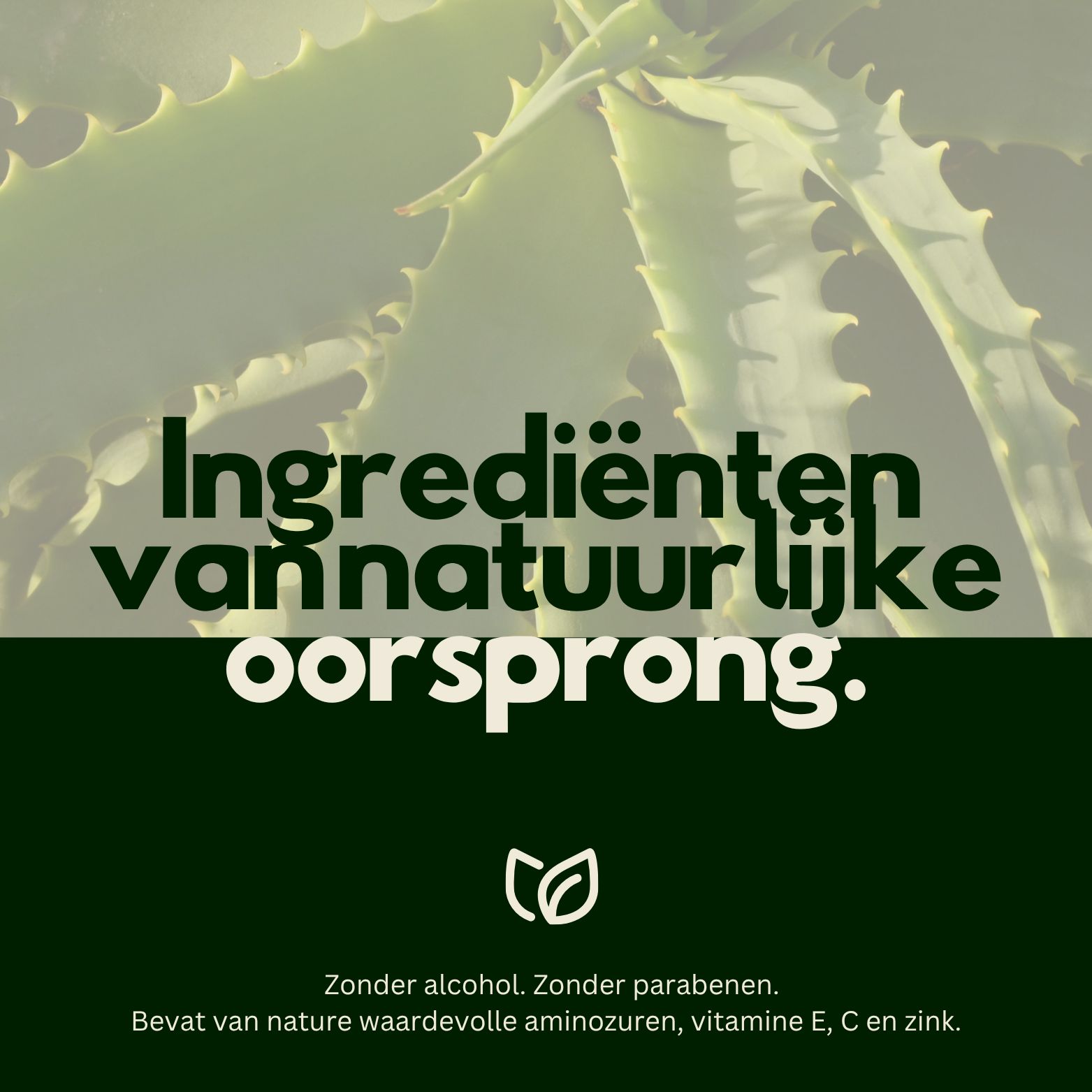 Fles Hairfluencer Aloe Vera Spray met tekst "Ingrediënten van natuurlijke oorsprong."