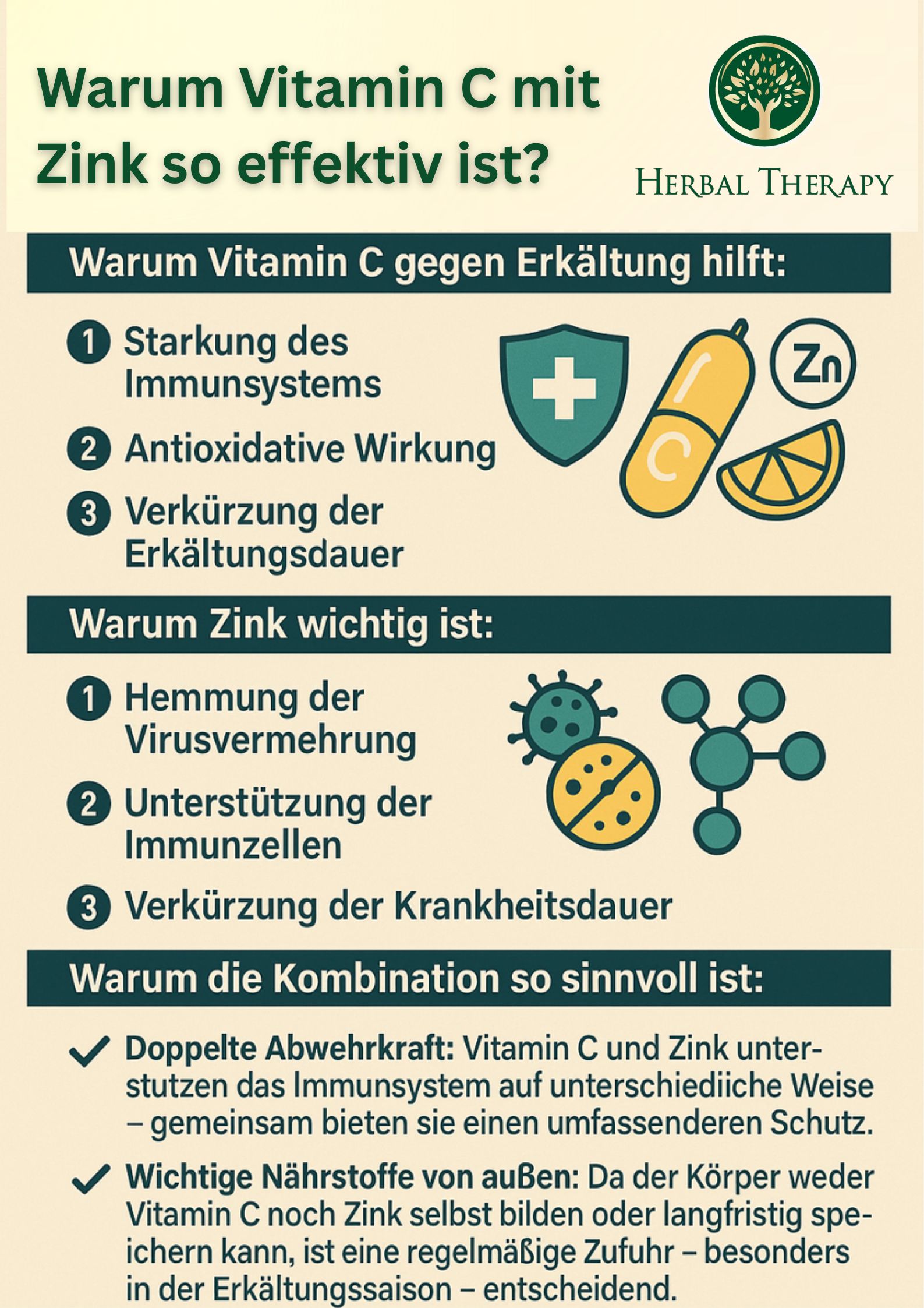 Infographie : Pourquoi la vitamine C avec du zinc est-elle si efficace ? Texte et illustrations sur les avantages de la combinaison.