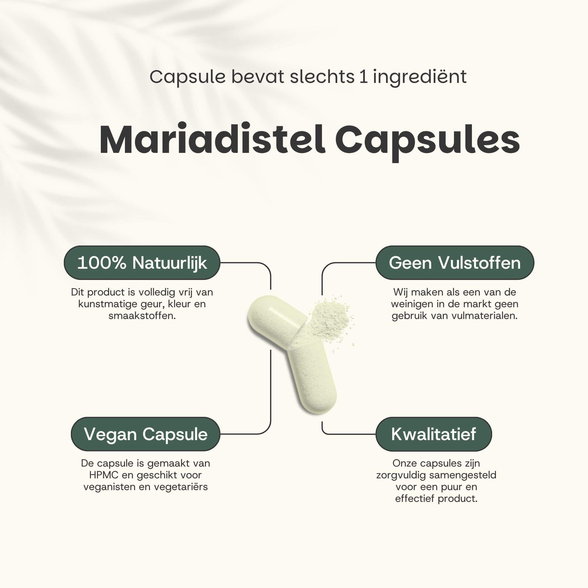 Capsule, geopend. Tekst: Mariadistel Capsules. 100% natuurlijk, geen vulstoffen, vegan capsule, kwalitatief.