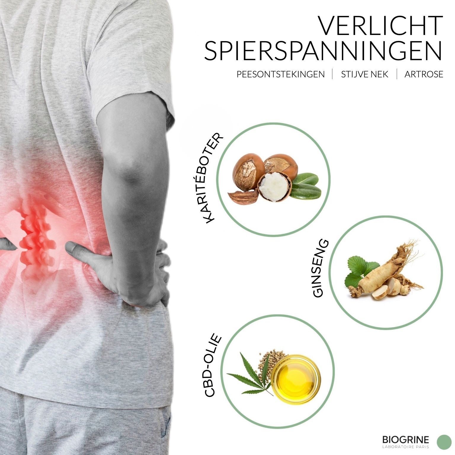 BIOGRINE "REMEDY" MASSAGECRÈME MET CBD, SHEABOTER & GINSENG