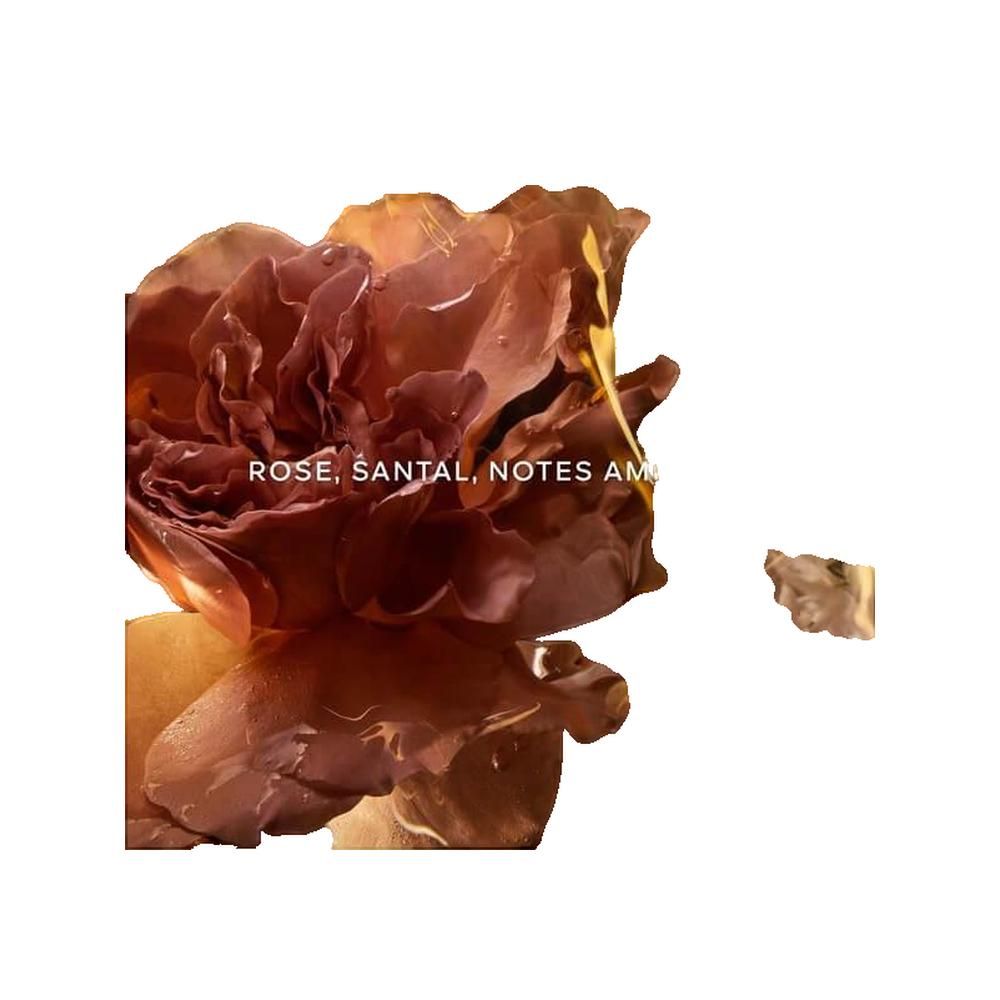 Close-up van een bruine roos met druppels. Tekst: Rose, Santal, Notes Am.