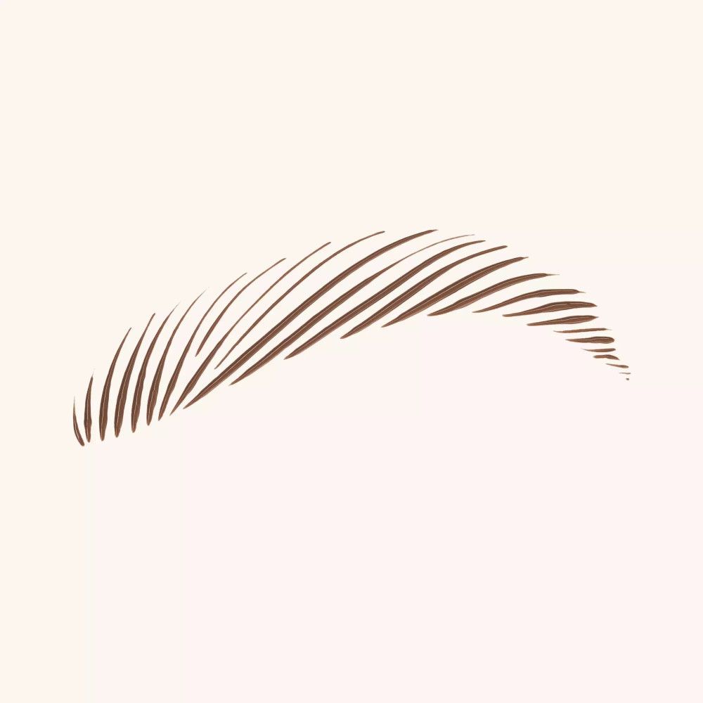 Illustration de sourcils. Forme courbée marron avec fines lignes représentant les poils des sourcils.