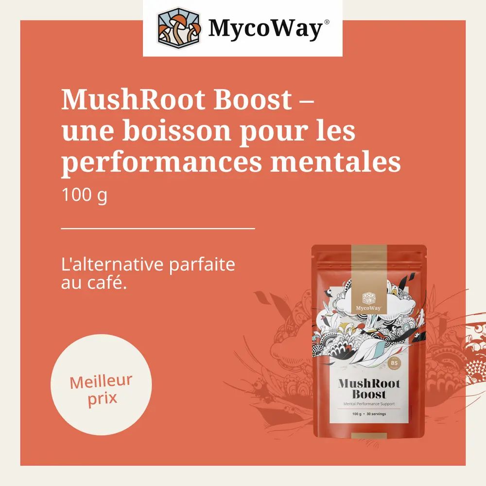 Sachet MycoWay MushRoot Boost. Texte: Boisson pour performances mentales. 100 g. Alternative parfaite au café. Meilleur prix.