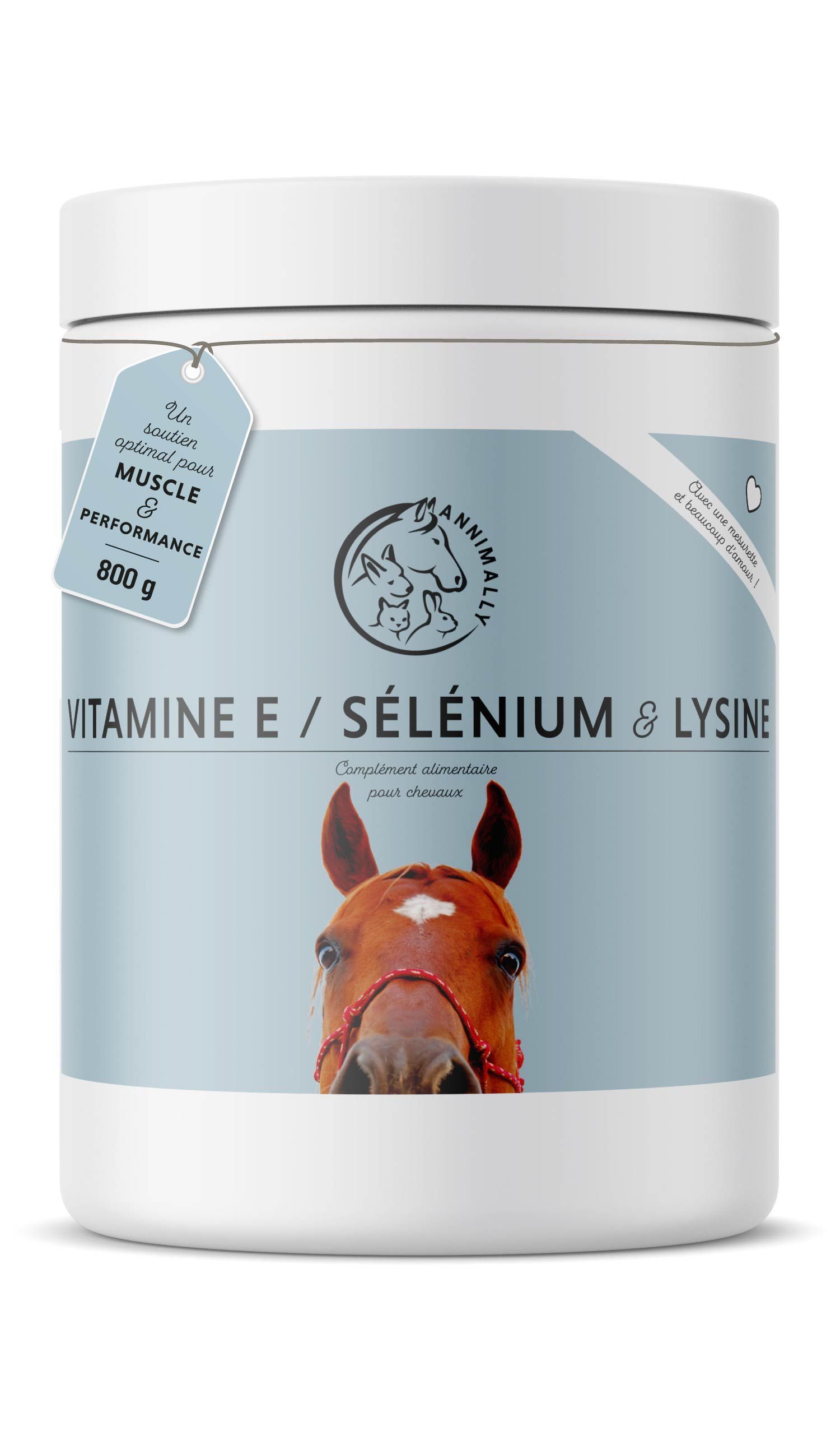 Texte sur le sélénium, la lysine et la vitamine E. Logo avec cheval et lapin. Cheval sur la plage. Texte : Protège les cellules et préserve les nutriments.